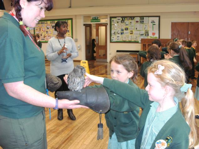  We &nbsp;had a night time day in the dark and shared the book The Owl Who is Afraid of the Dark. The children wrote amazing sentences about why night time is exciting, wonderful and beautiful. The night time scenes the children &nbsp;painted showed 