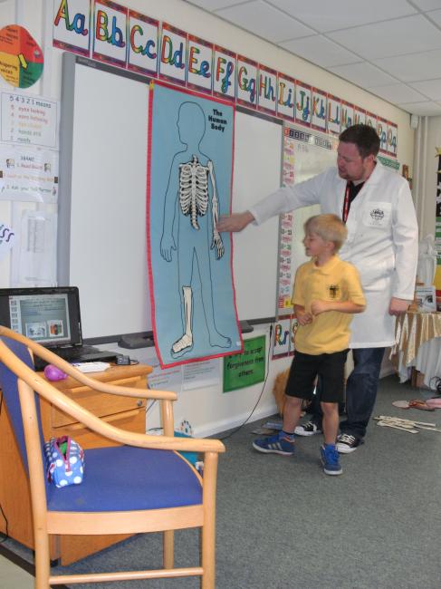  Mad Science visited and we learned all about the human body. We put together the bones and organs in the human body trying to get them in the right place! We enjoyed using stethocscopes to listen to our hearts. 