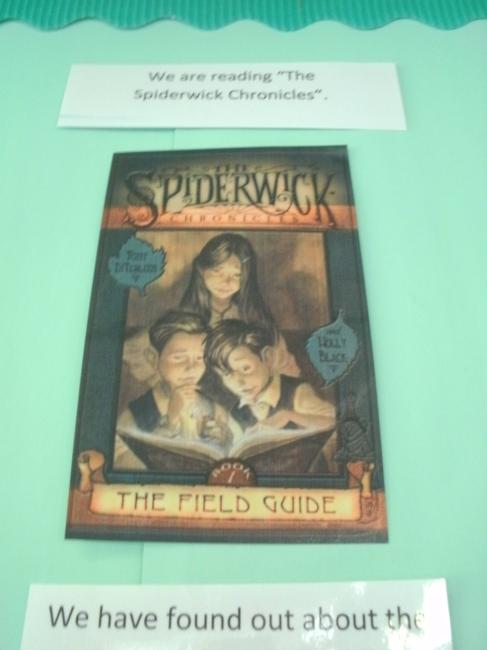  We have also been reading "The Spiderwick Chronicles" 