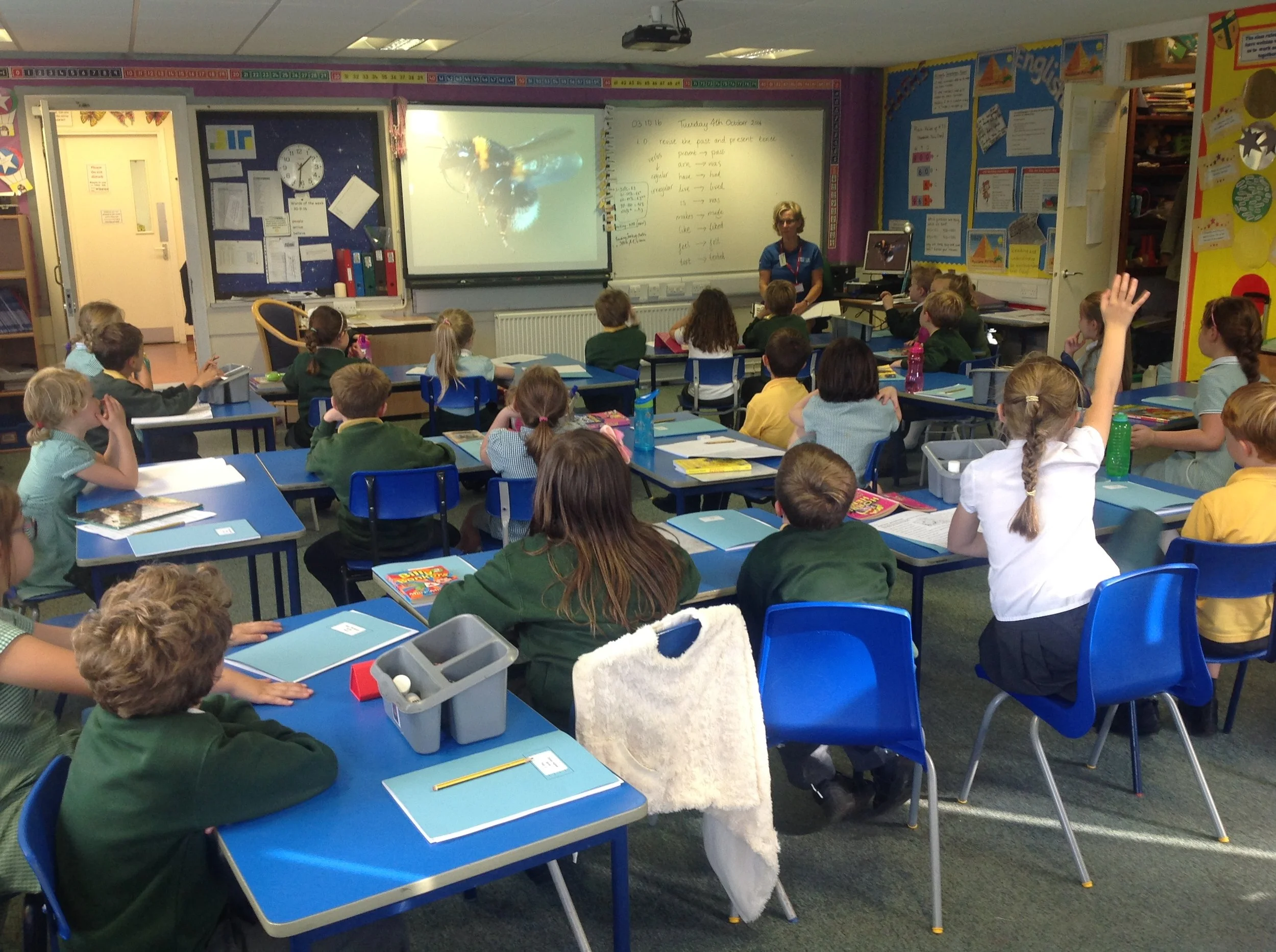 Listening to an introduction about wildlife and its habitats.