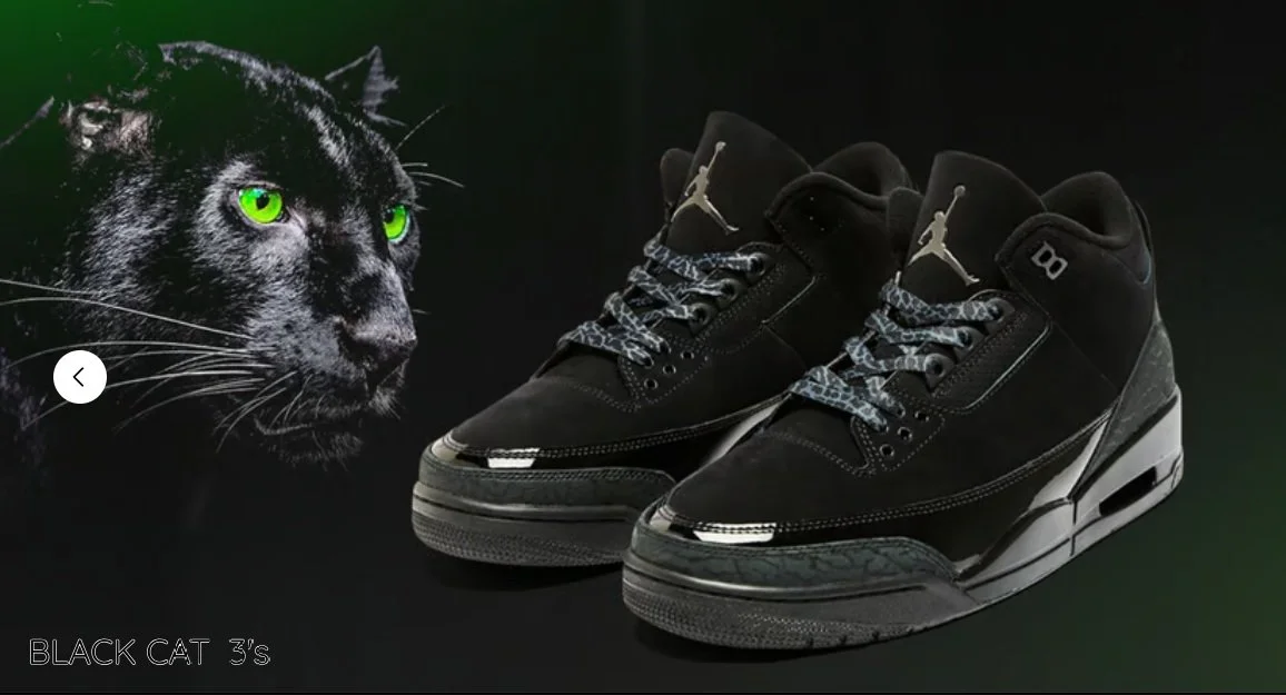 23isback release dates