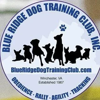 Blue Ridge Dog Agility Event