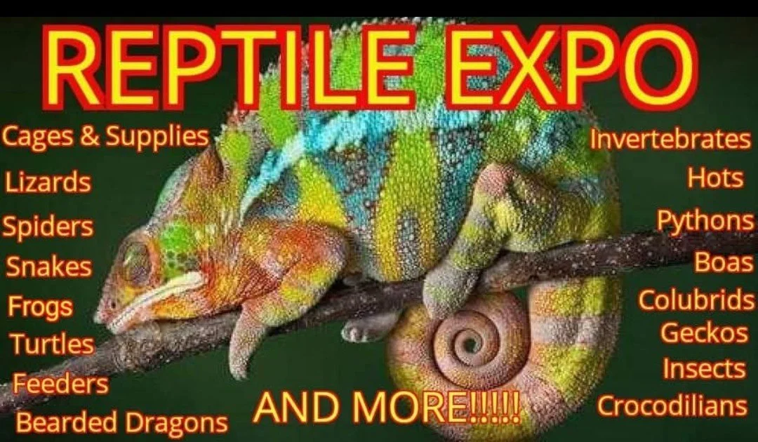 Reptile Show