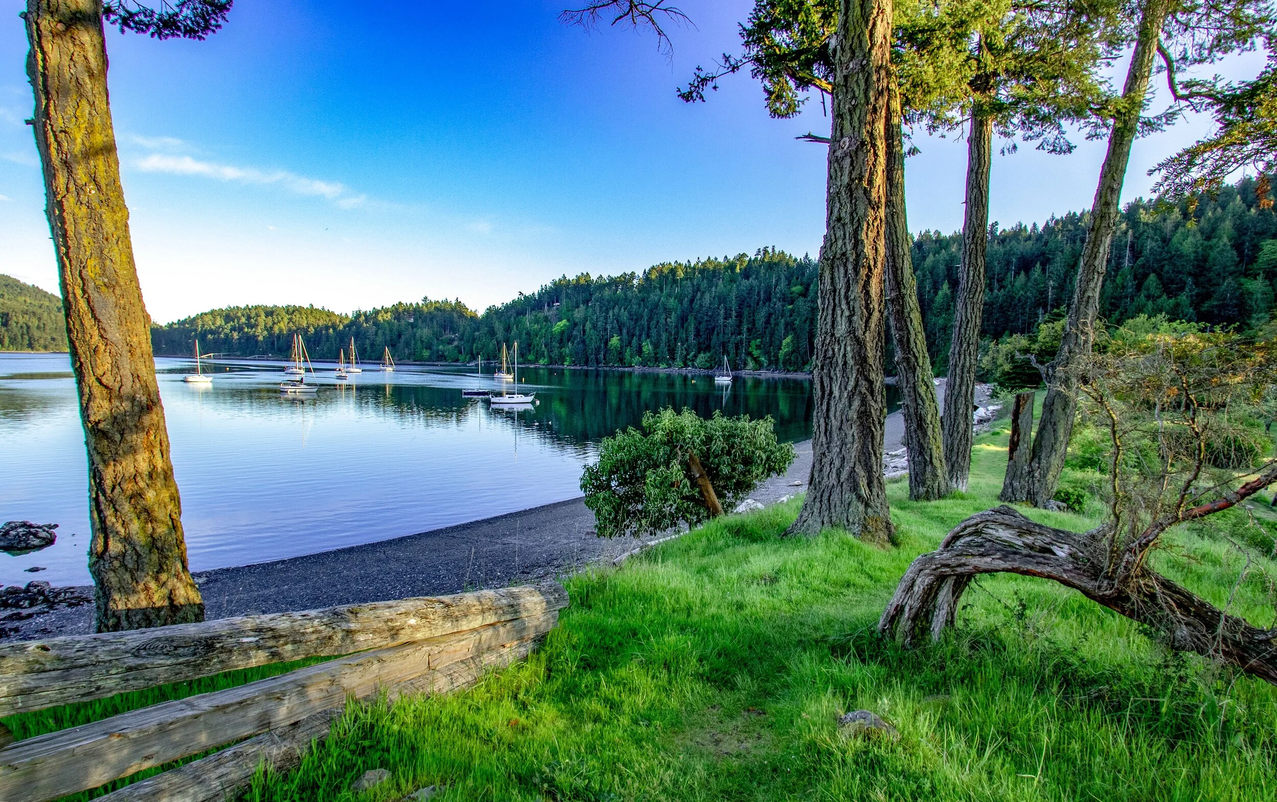 84tT69RF - Copy.jpeg