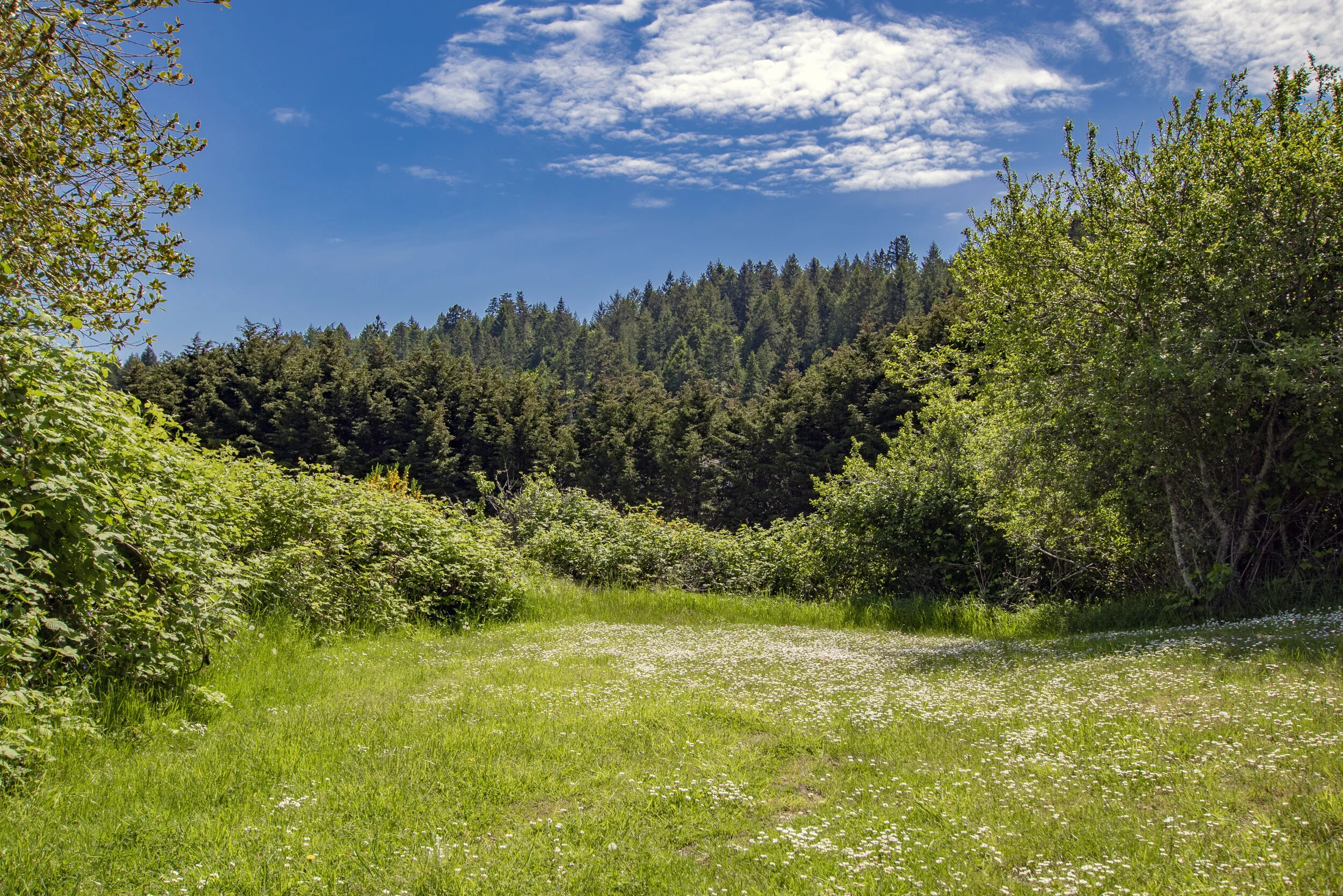 Camping on Pender Island BC Camping Reservations Port Browning Marina