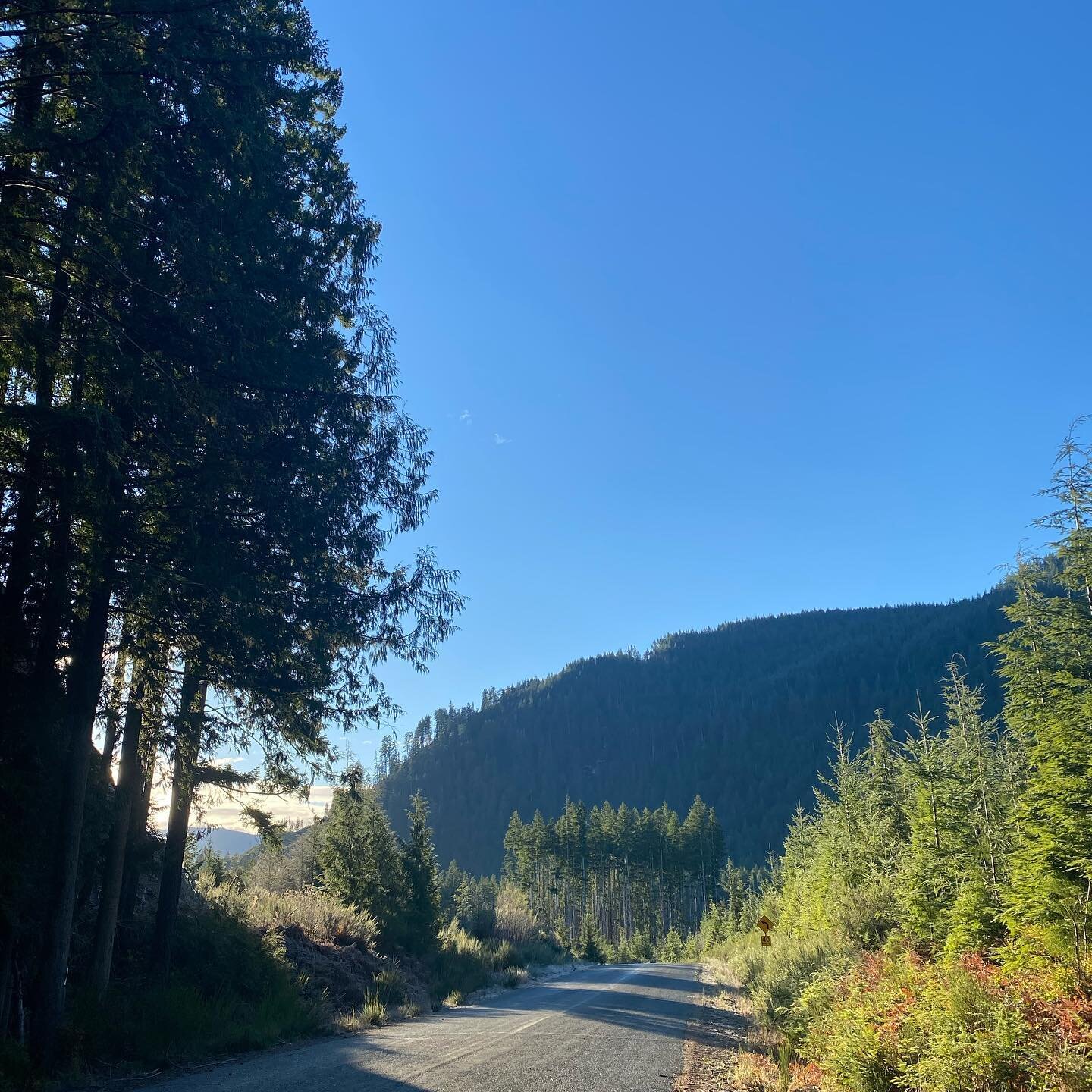Don&rsquo;t rush the drive out to Port Renfrew, you might miss something beautiful 🍂

#pacificmarinecircleroute #portrenfrew #westcoast #westcoastwinter #destinationbc