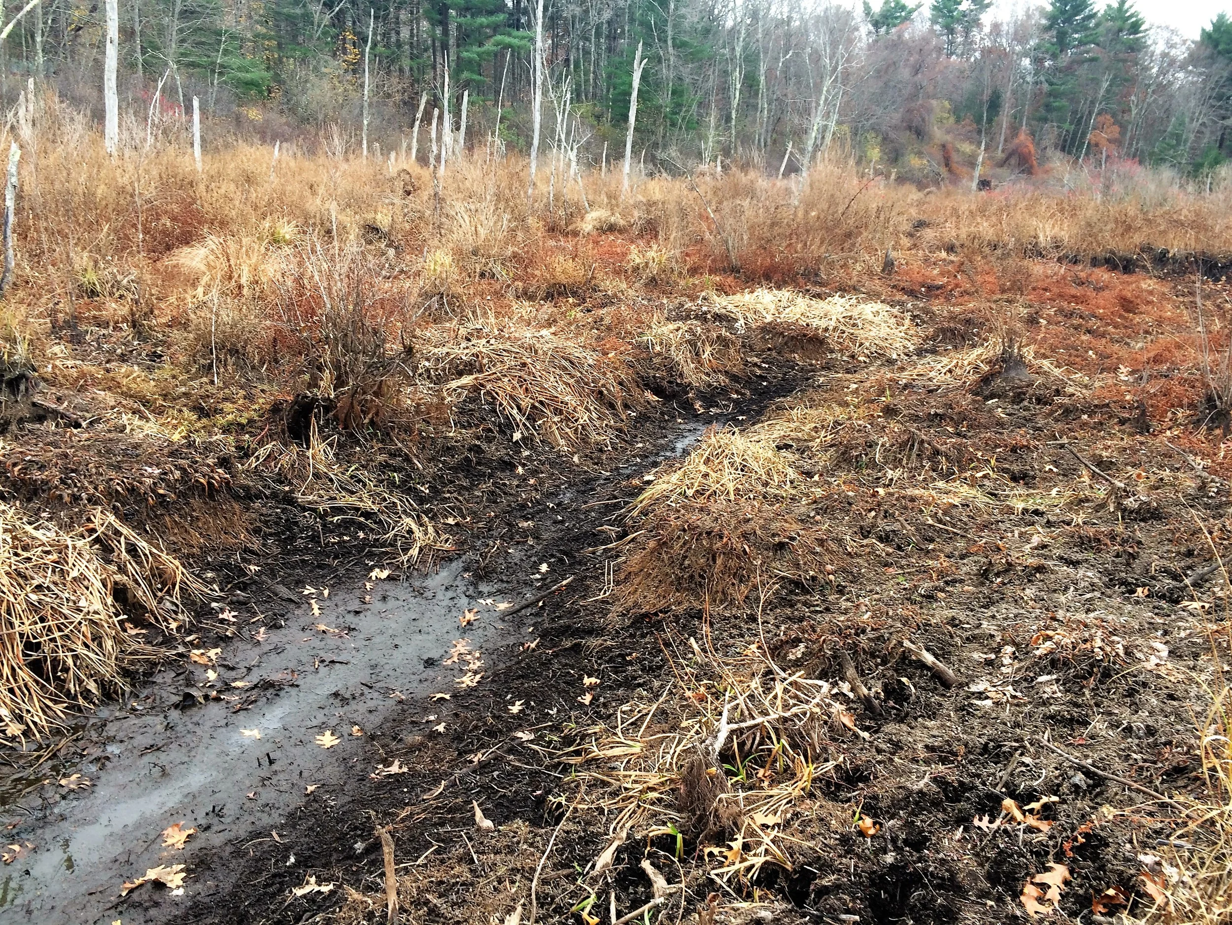 PT. 2 - THE ENVIRONMENT ALWAYS LOSES