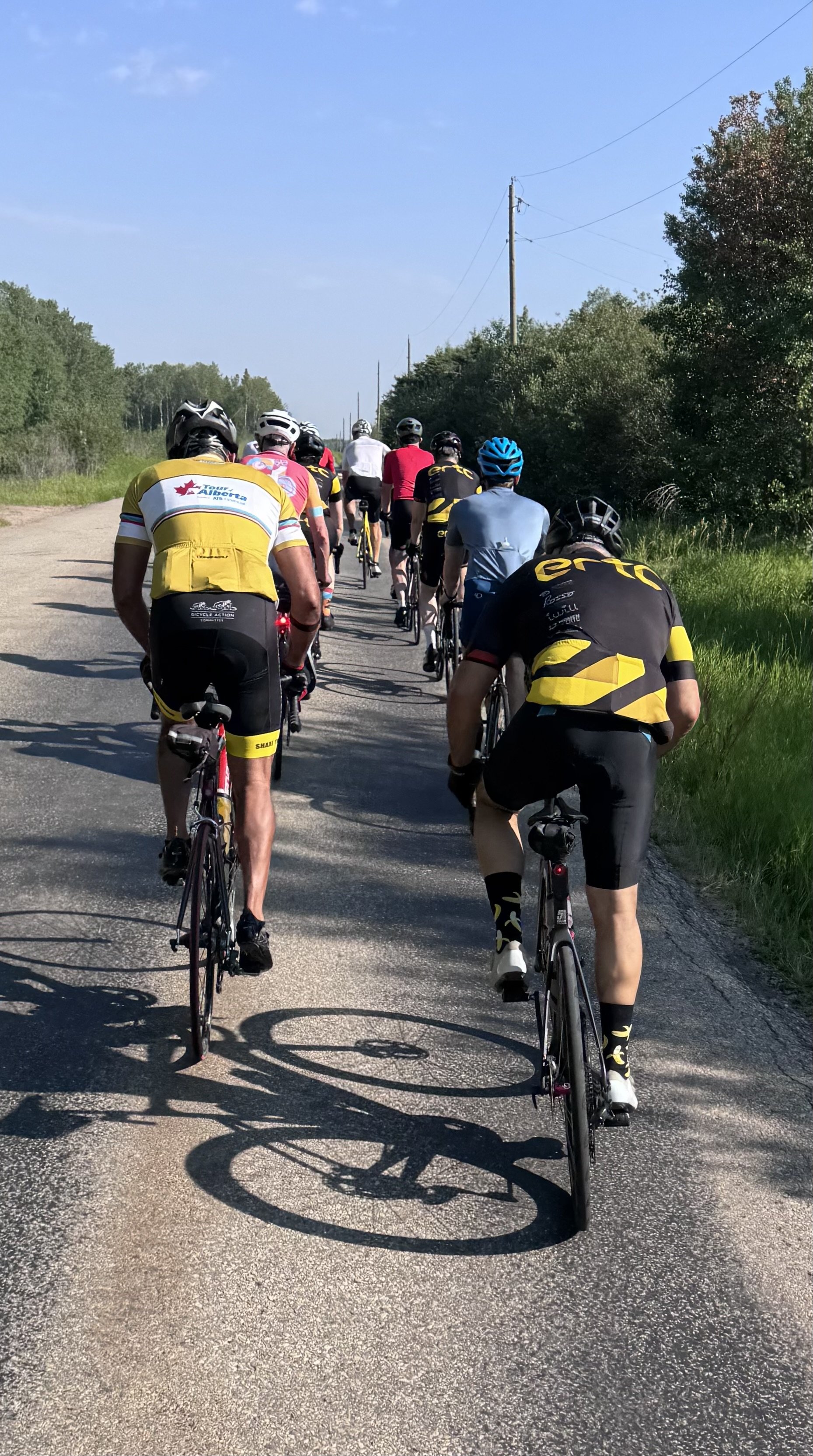 ERTC Weekly Update - Week of August 4