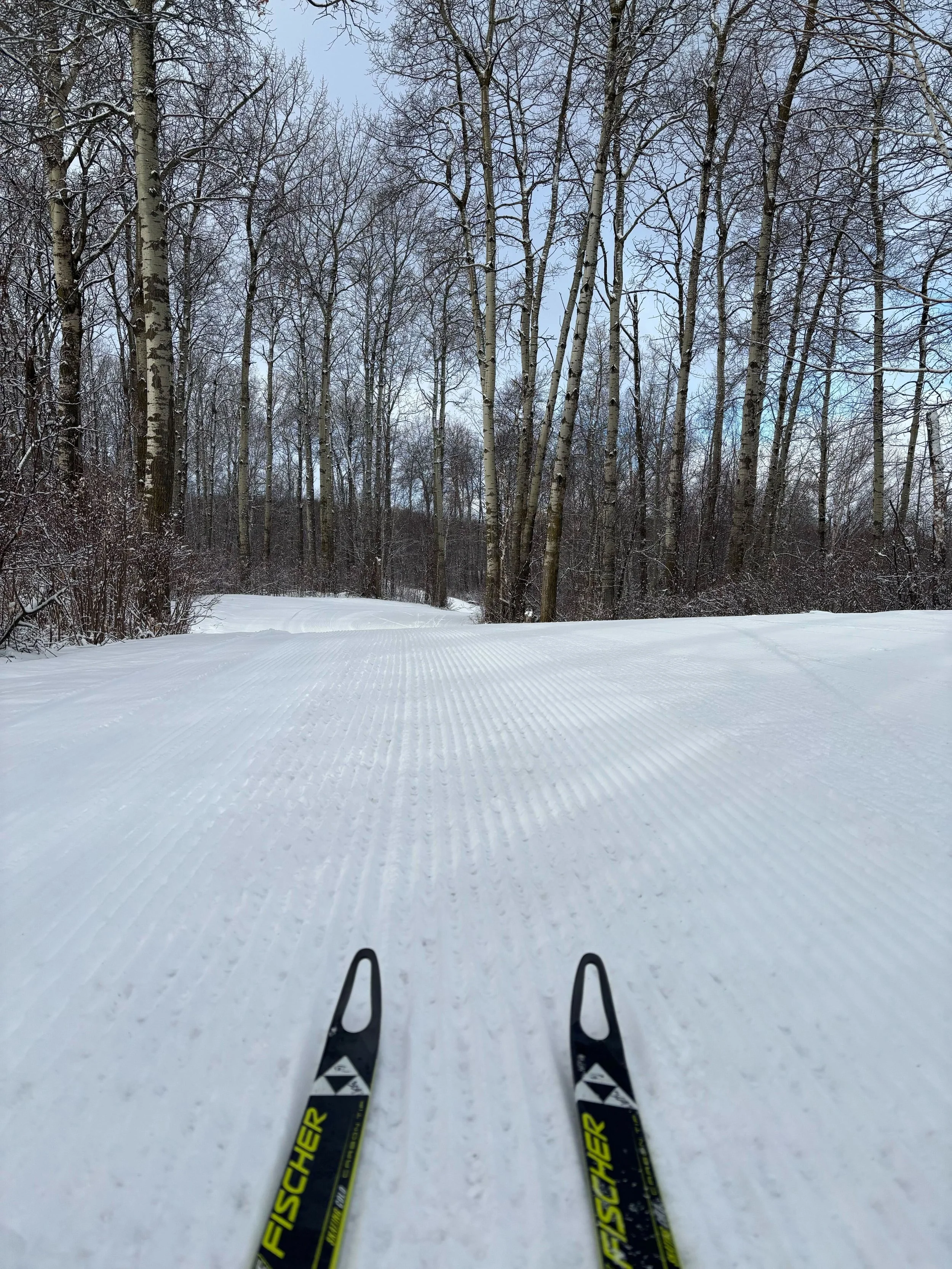 ERTC Weekly Update - Week of March 23