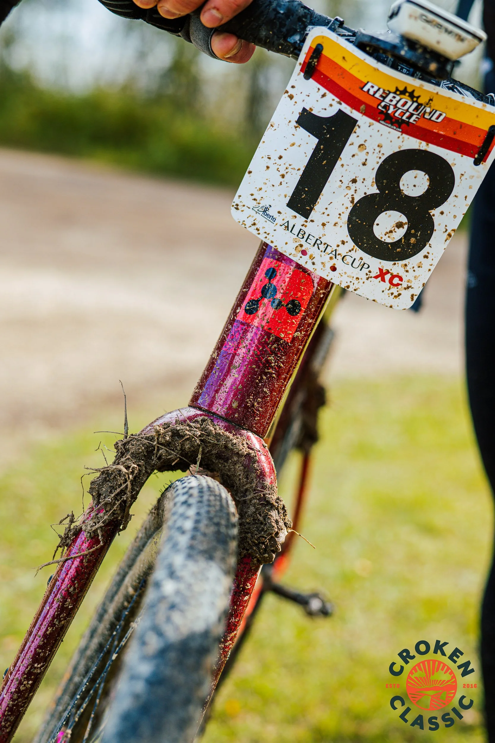 Westlake_CrokenClassic_528.jpg