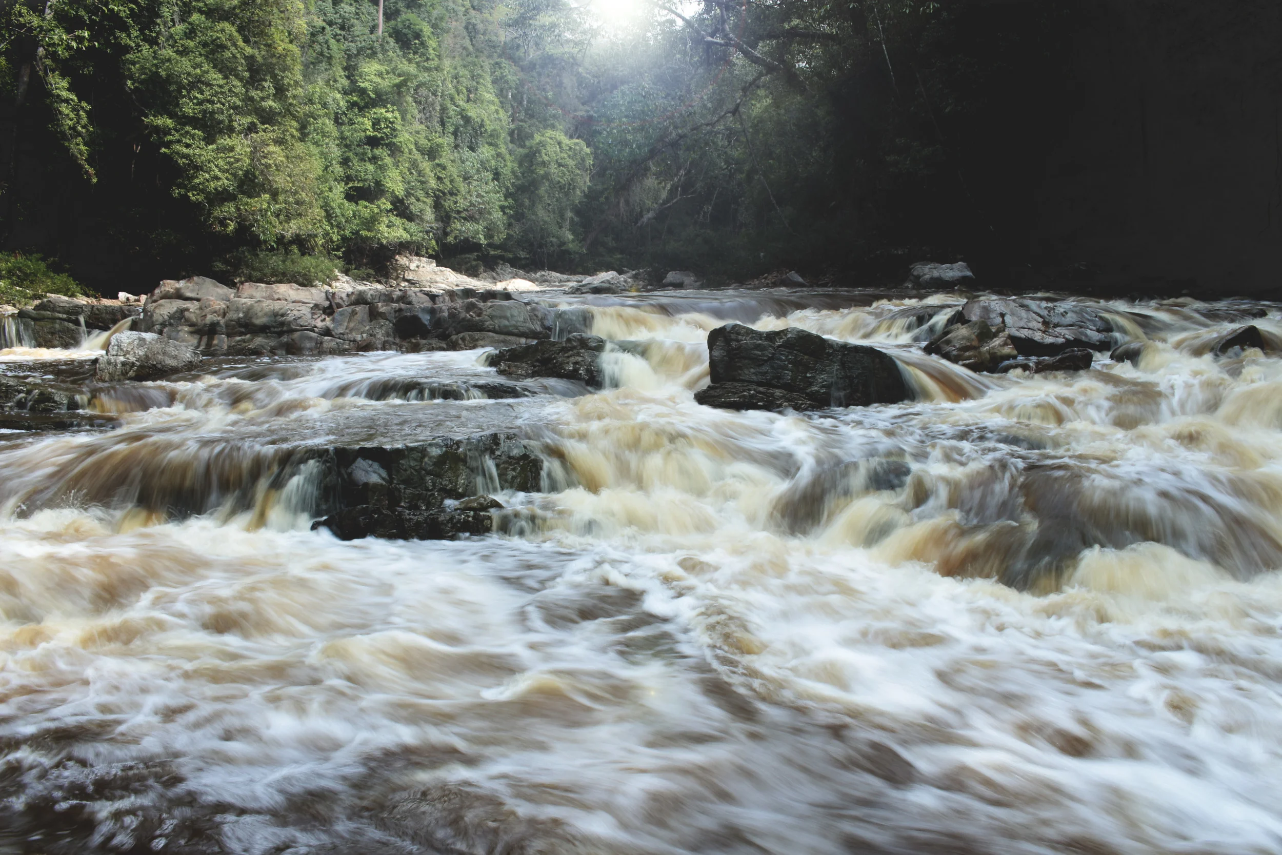 TAMANfalls.jpg