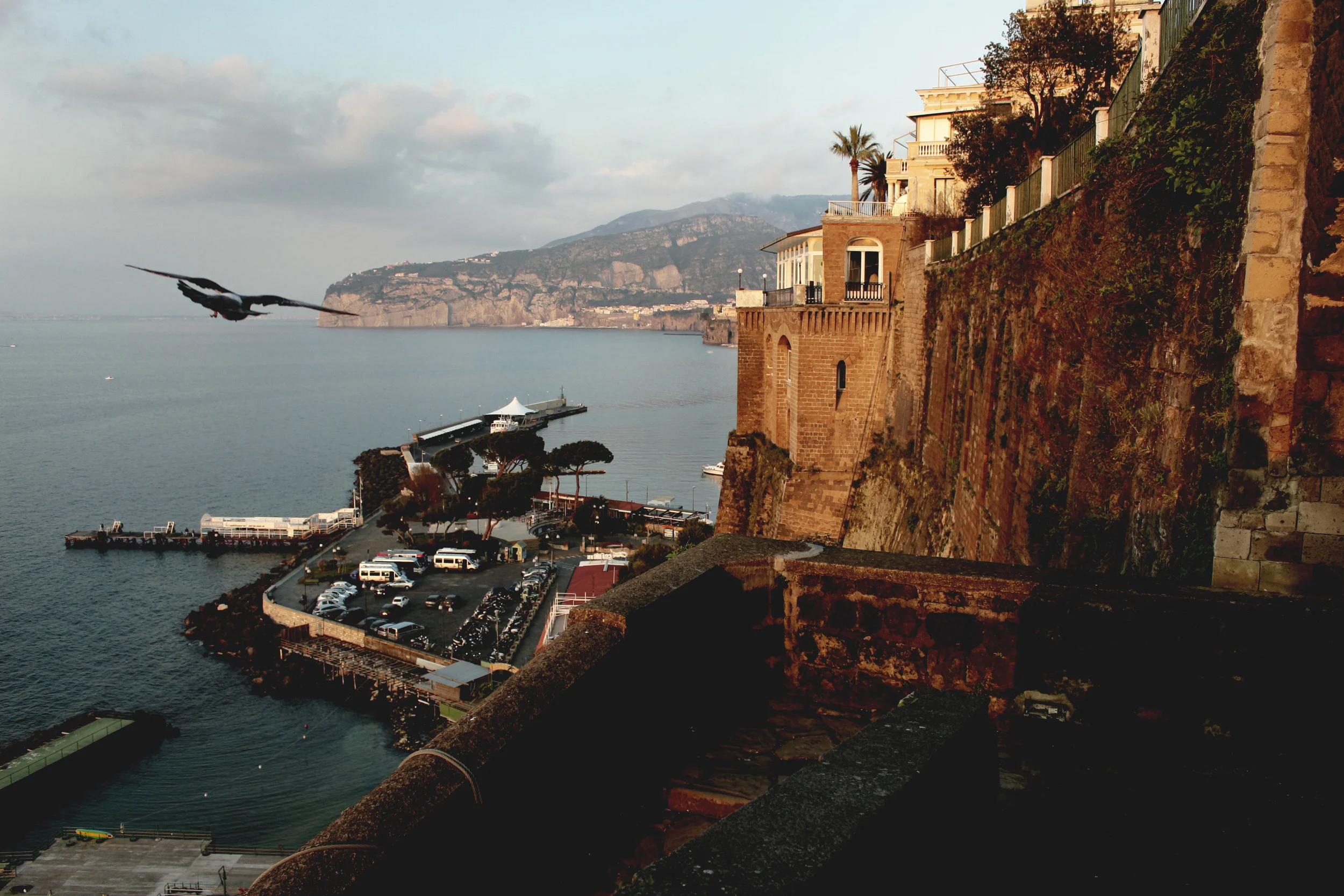 SORRENTOcoastbird.jpg