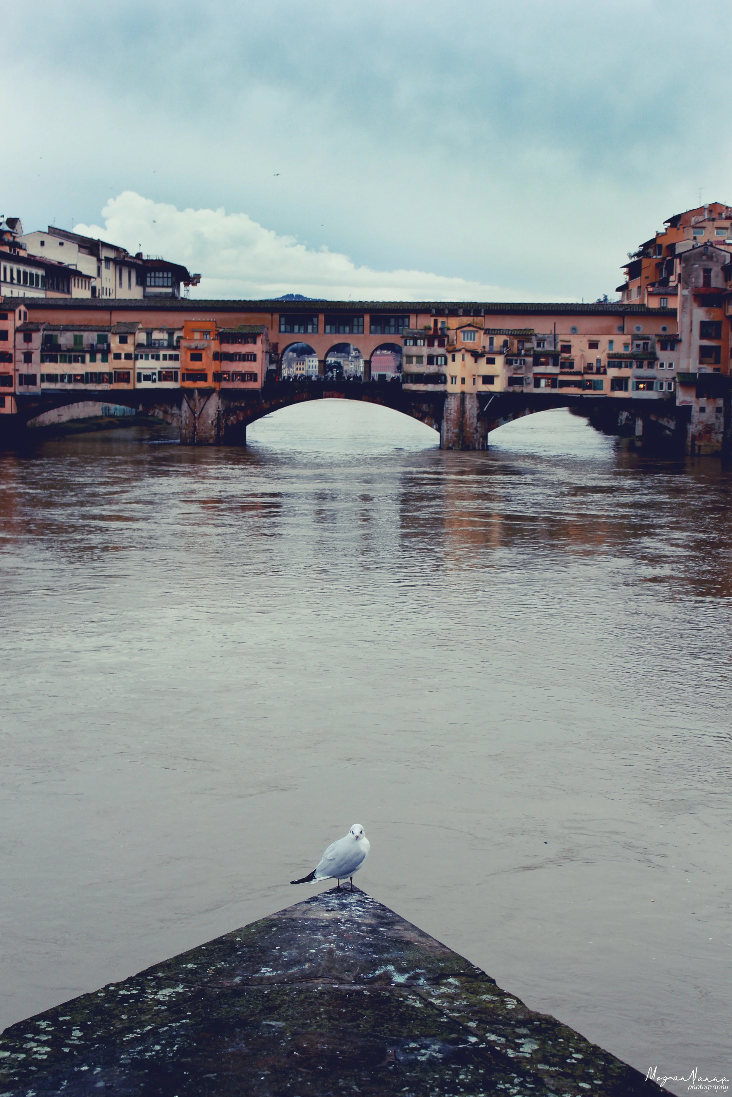 FLORENCEbird.jpg