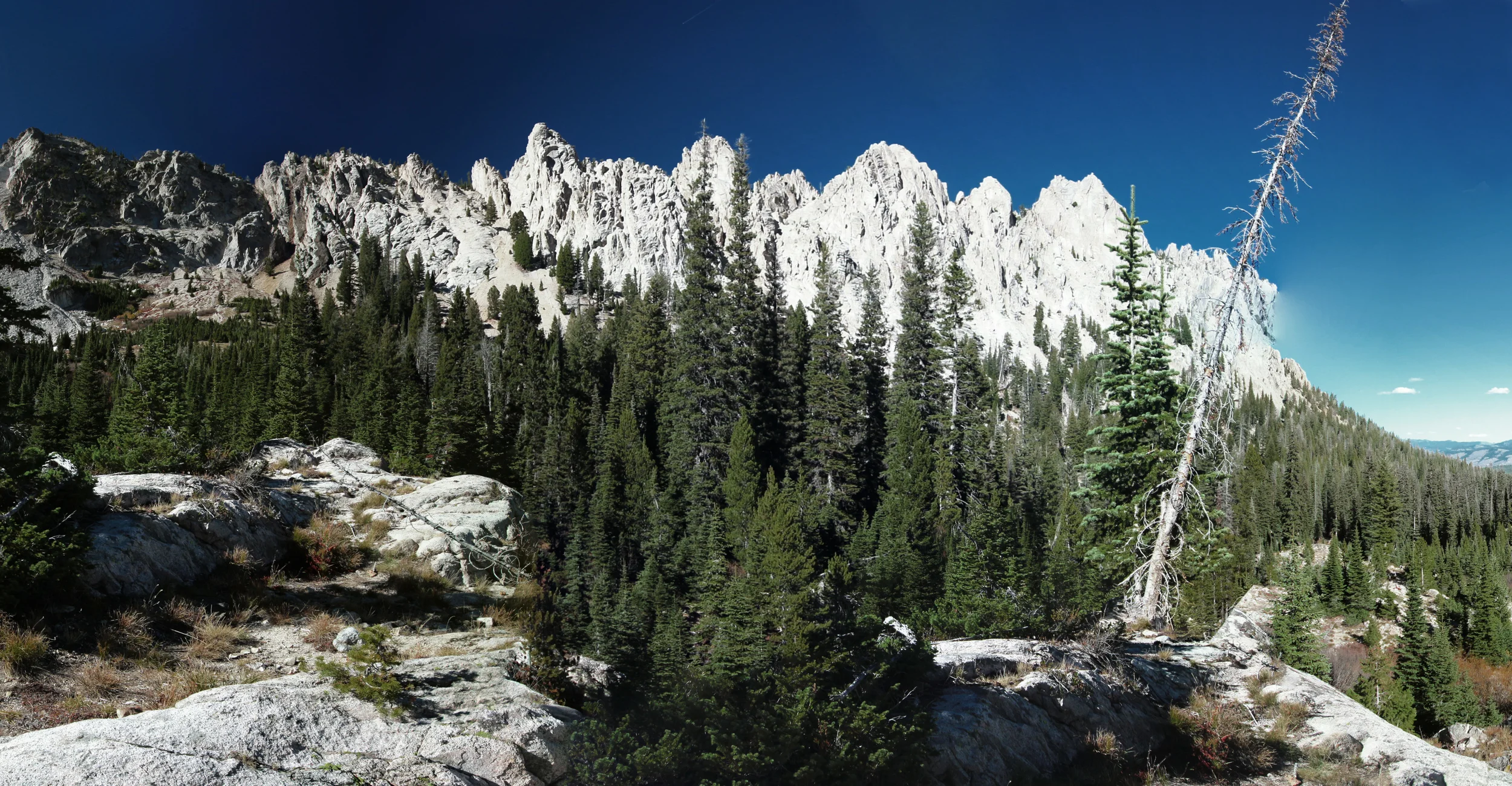 SAWTOOTH.jpg