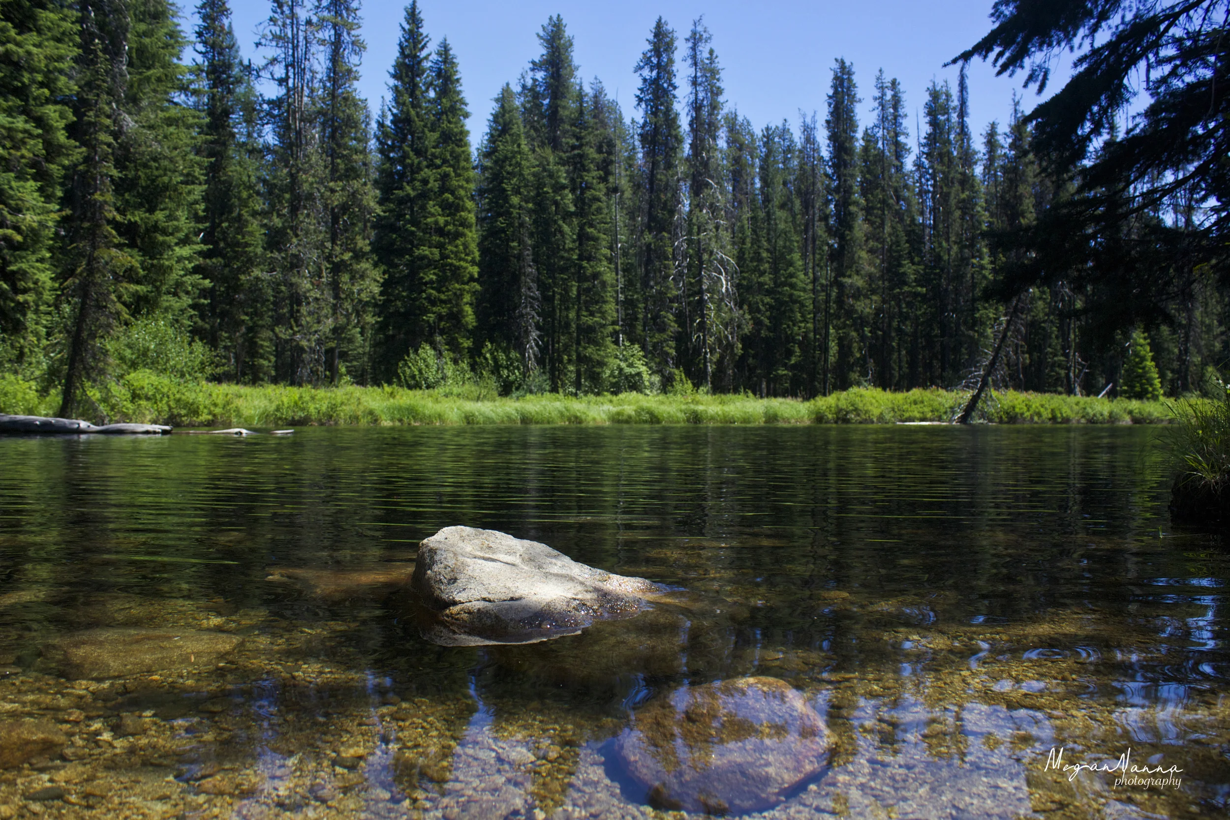 McCall.jpg