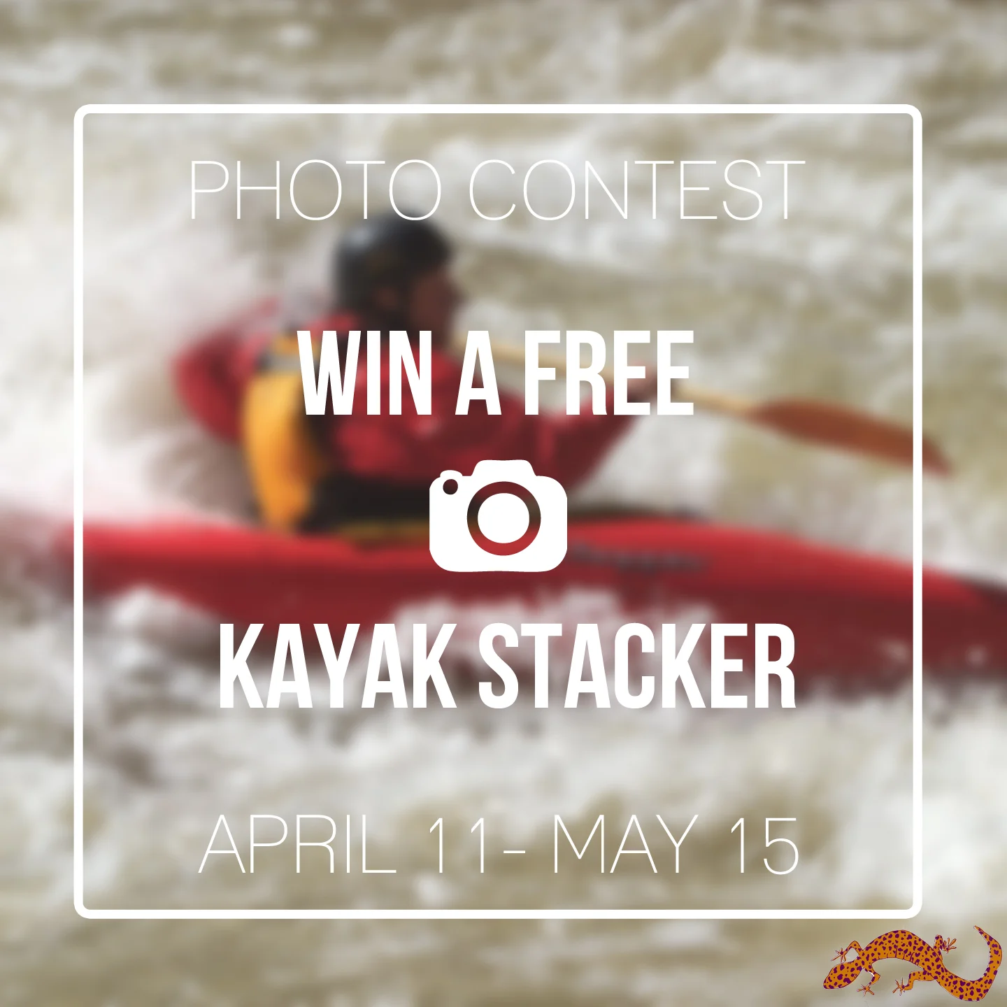 photocontest1.jpg