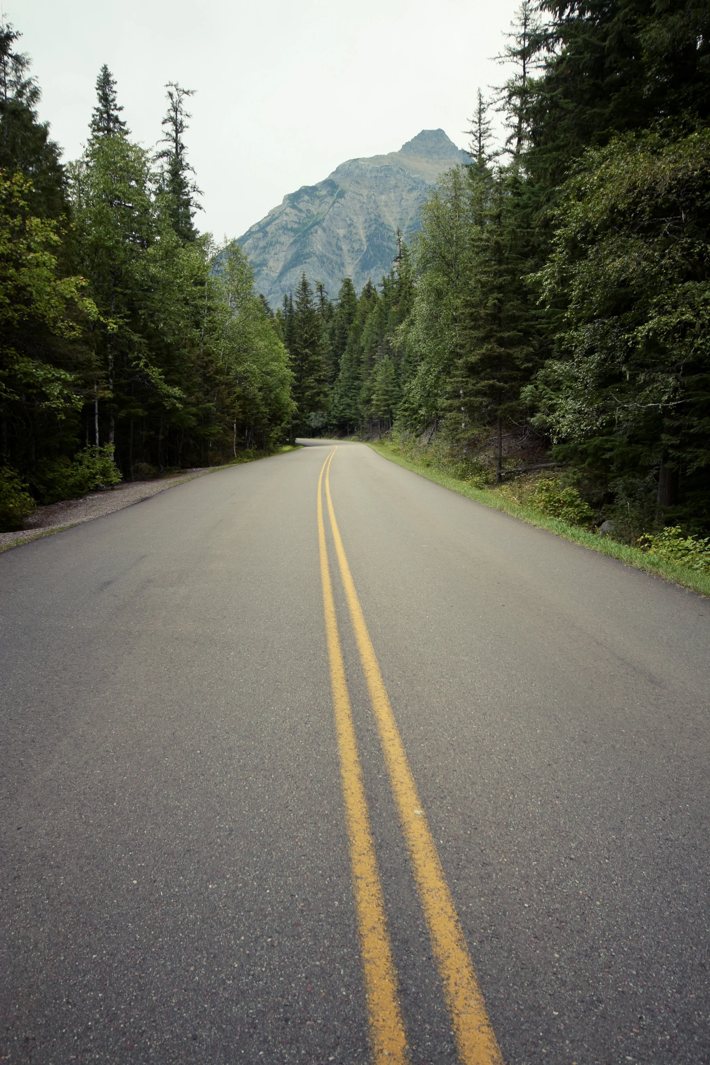 GLACIERhighway.jpg