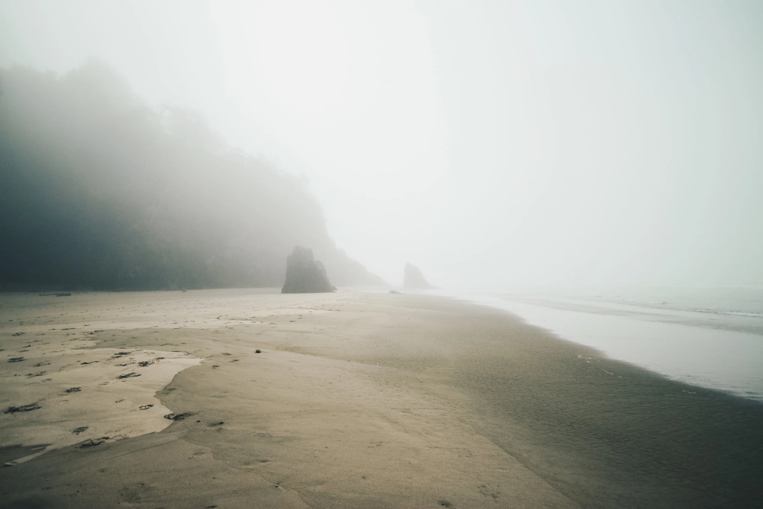 CANNONbeach1.jpg