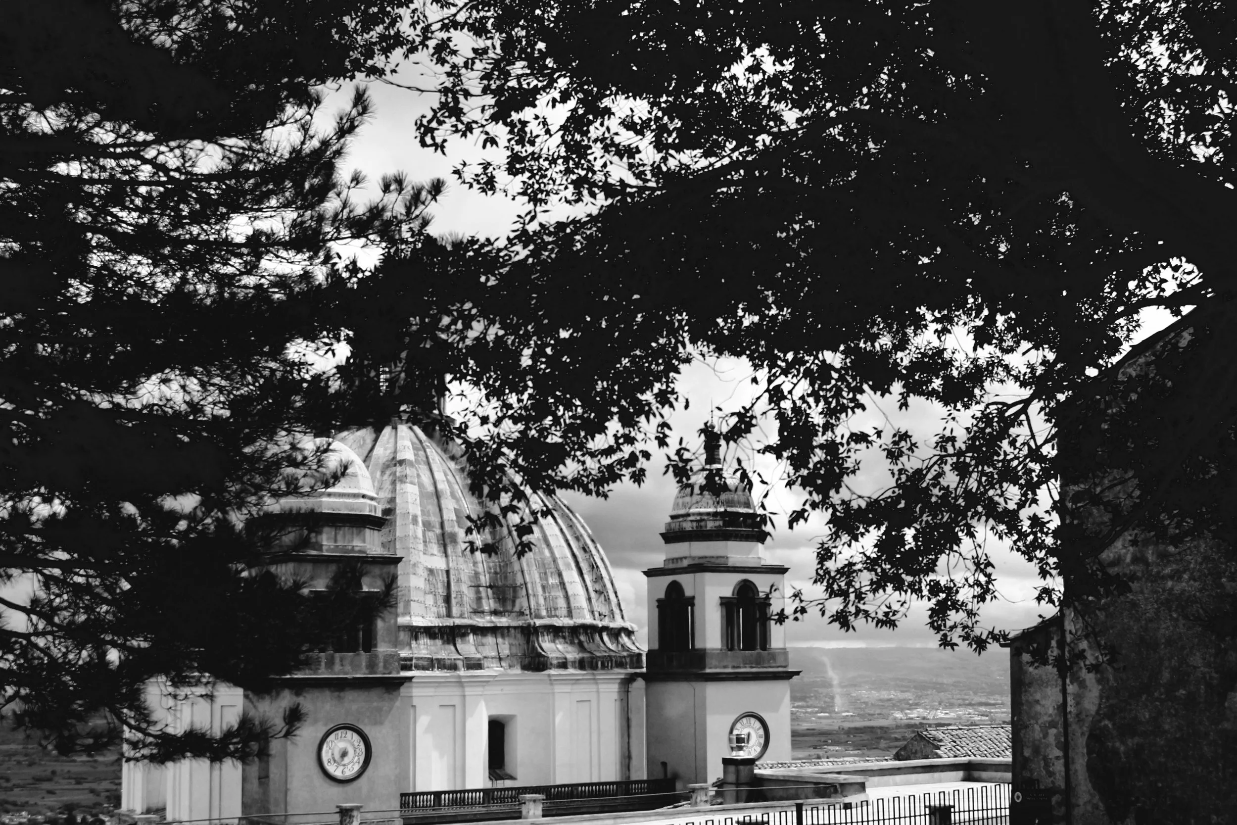 MONTEFIASCONEtree.jpg