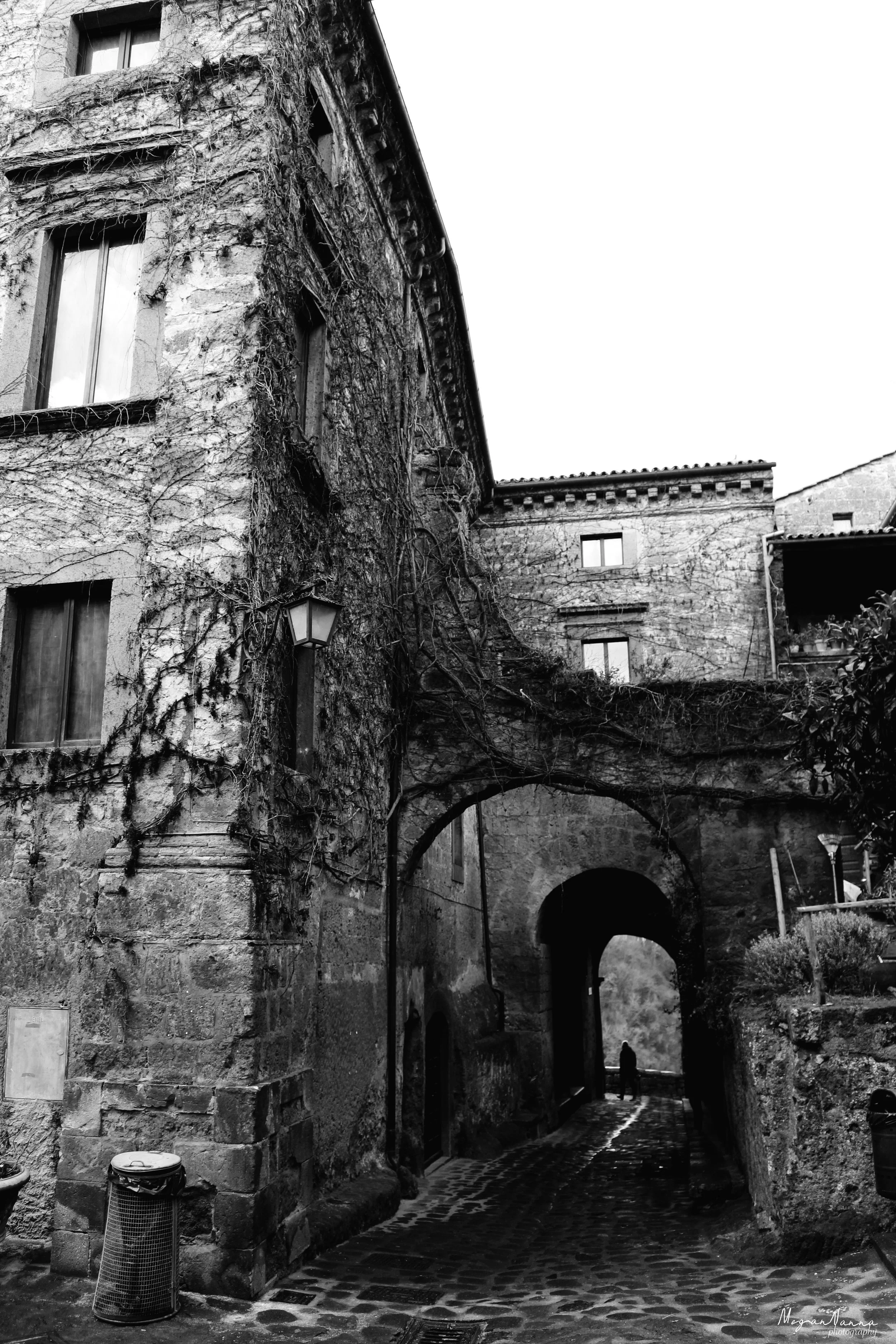 BAGNOREGGIOwall.jpg