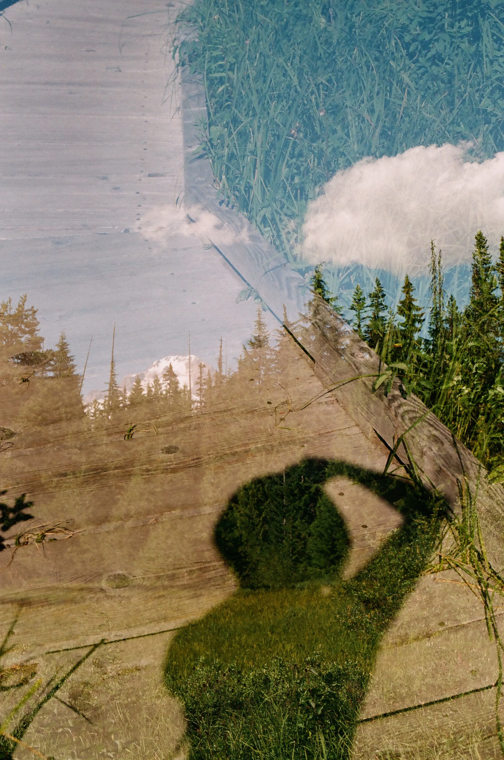 498102900017_8.jpg