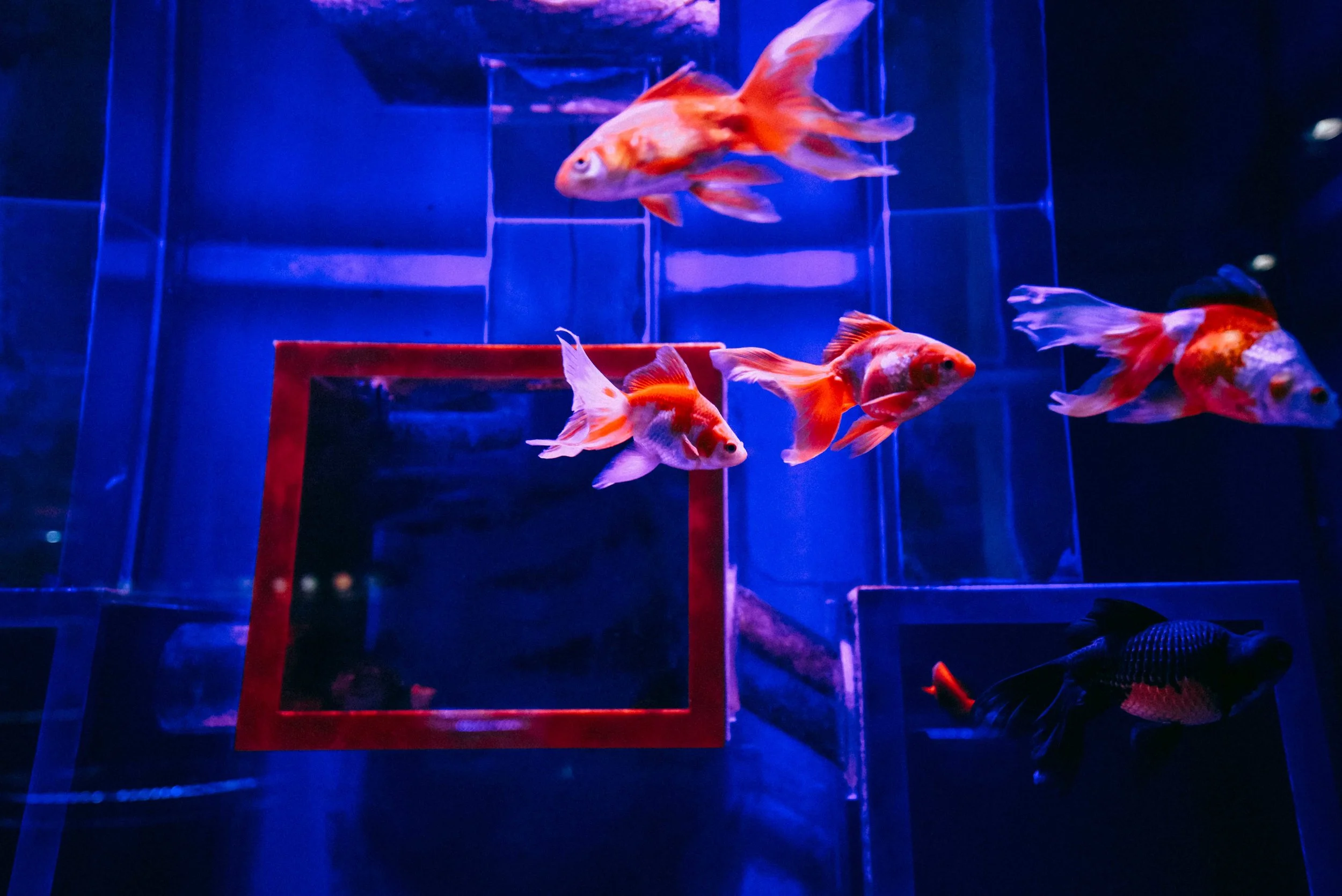 DSC_2837.jpg