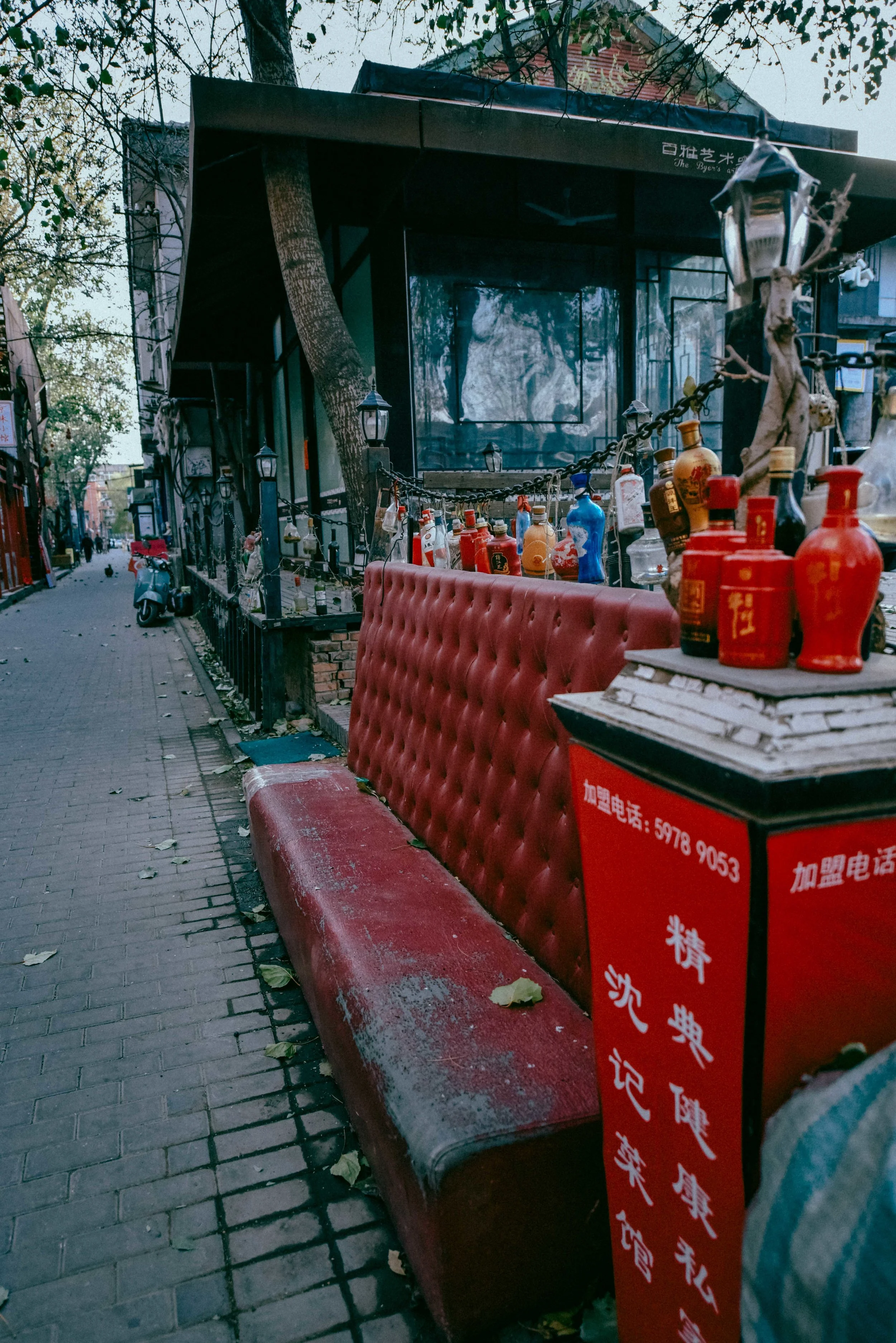 DSC_3100.jpg