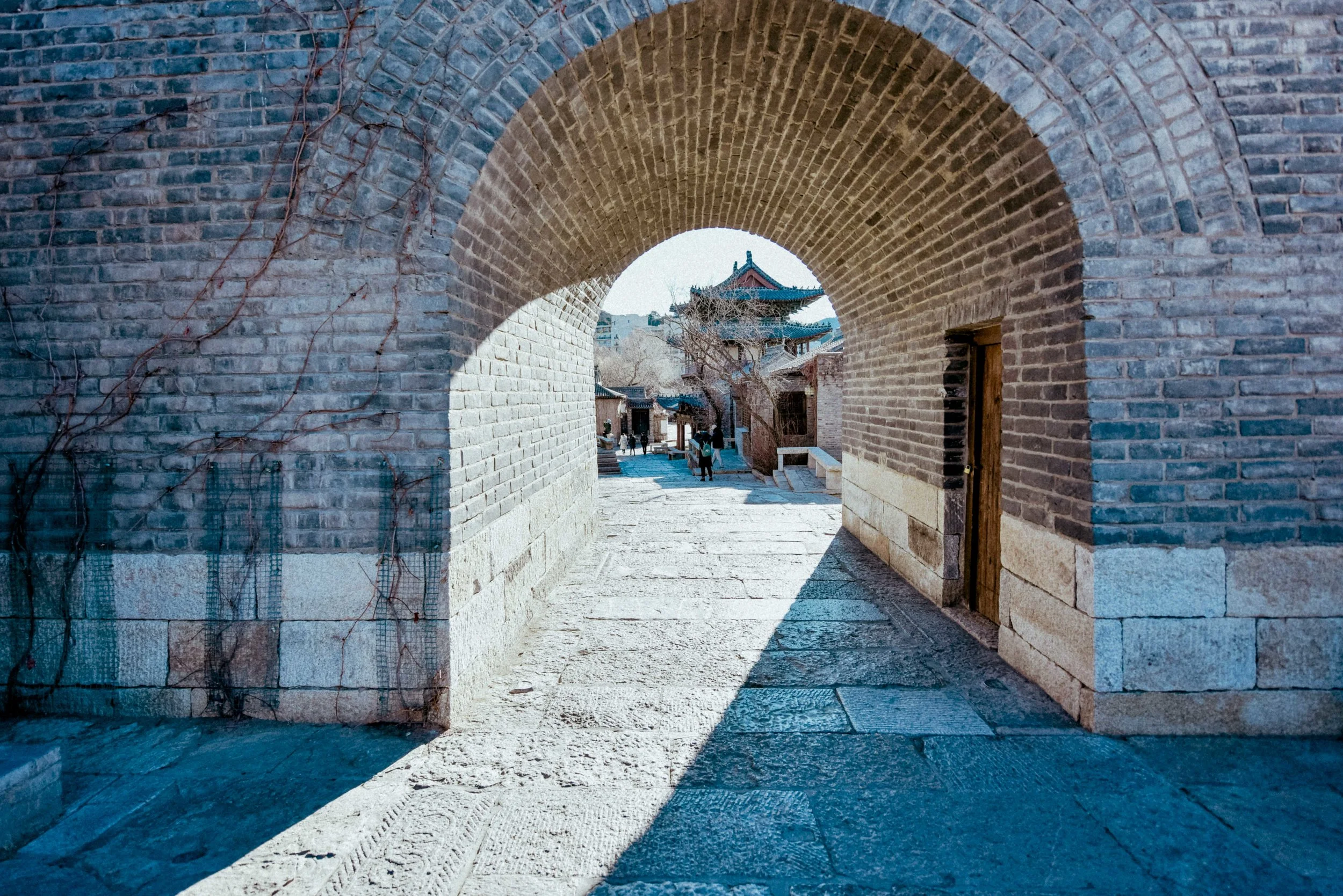 DSC_3439.jpg