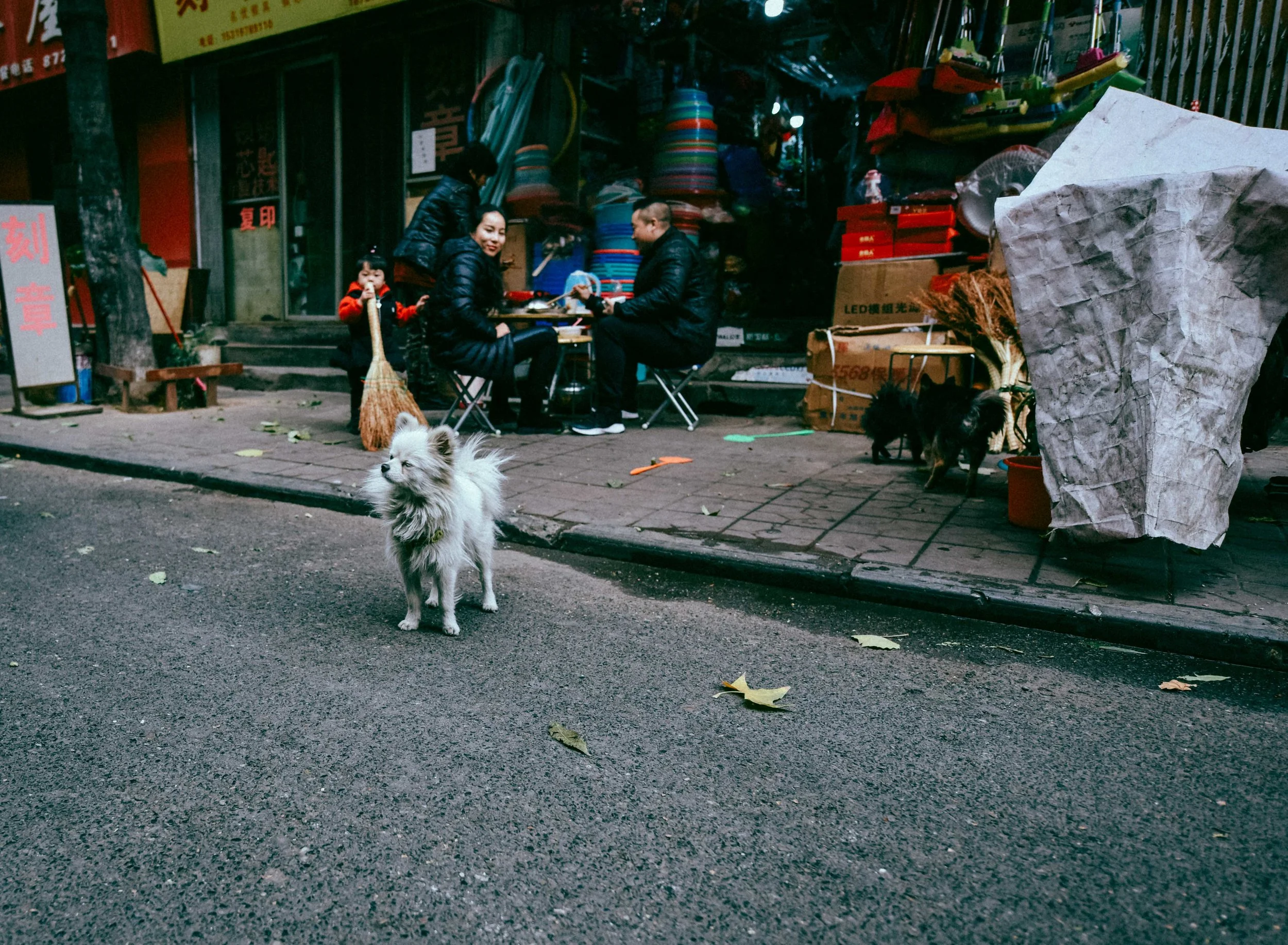 DSC_3676.jpg
