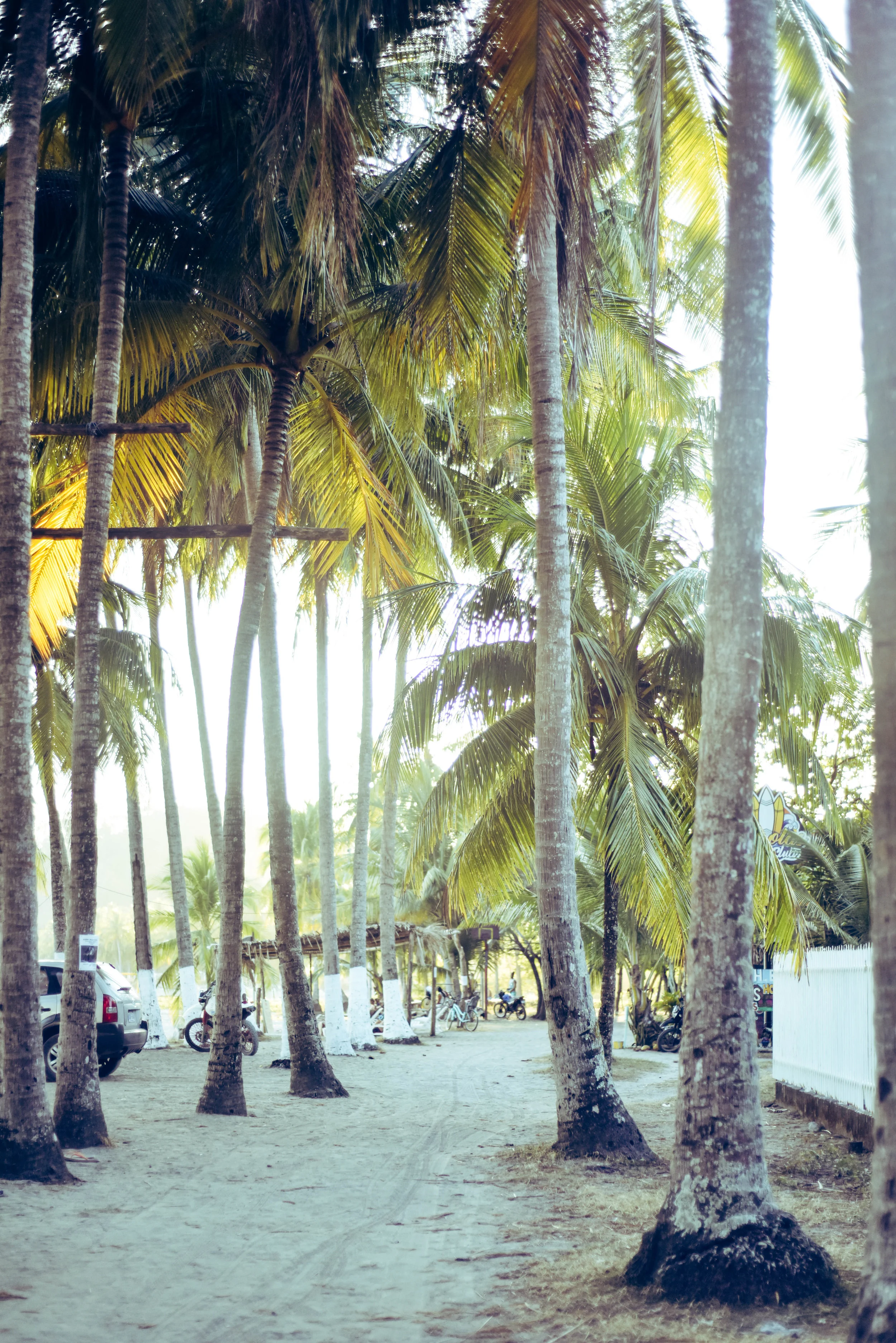 DSC_5358.jpg