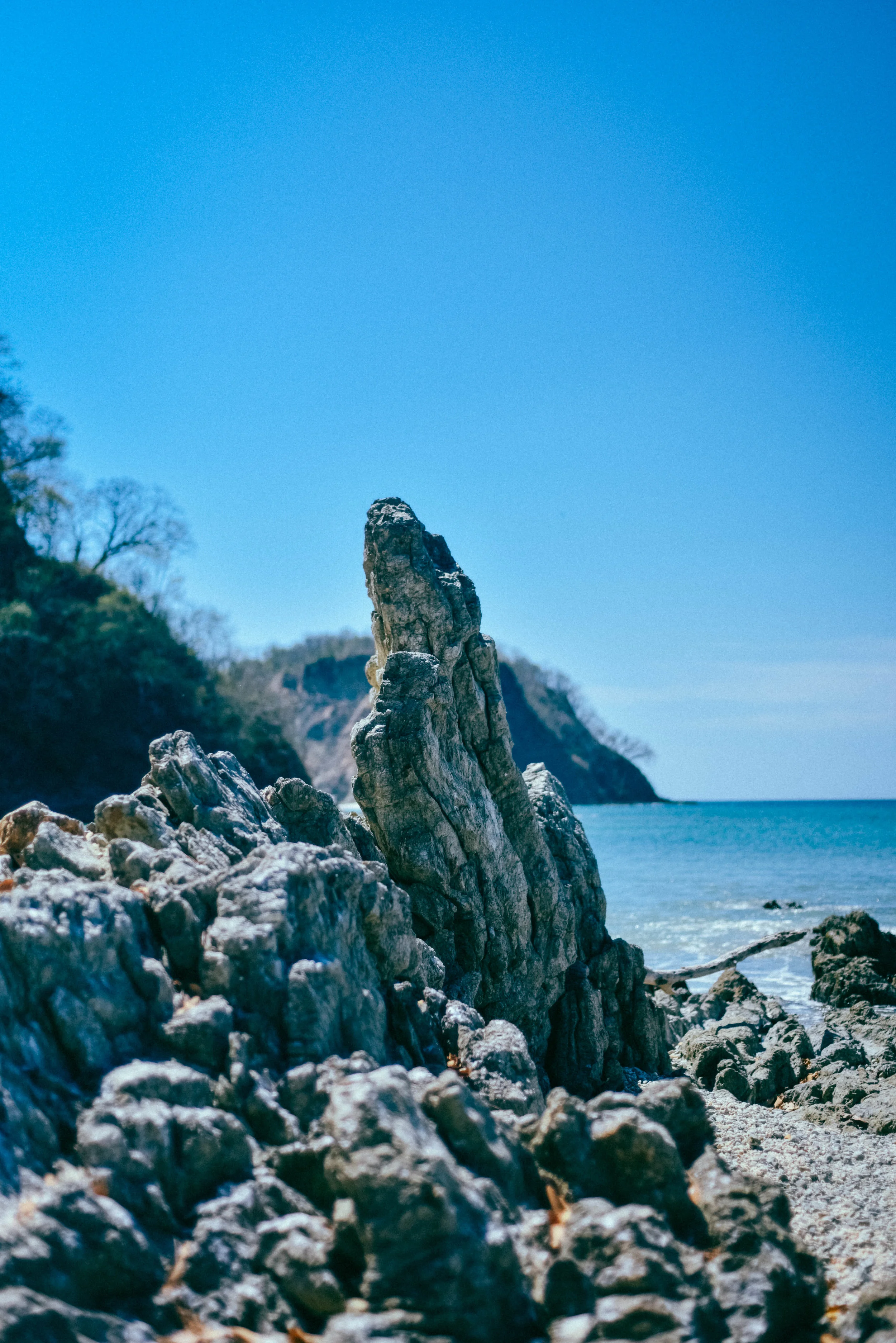 DSC_5481.jpg