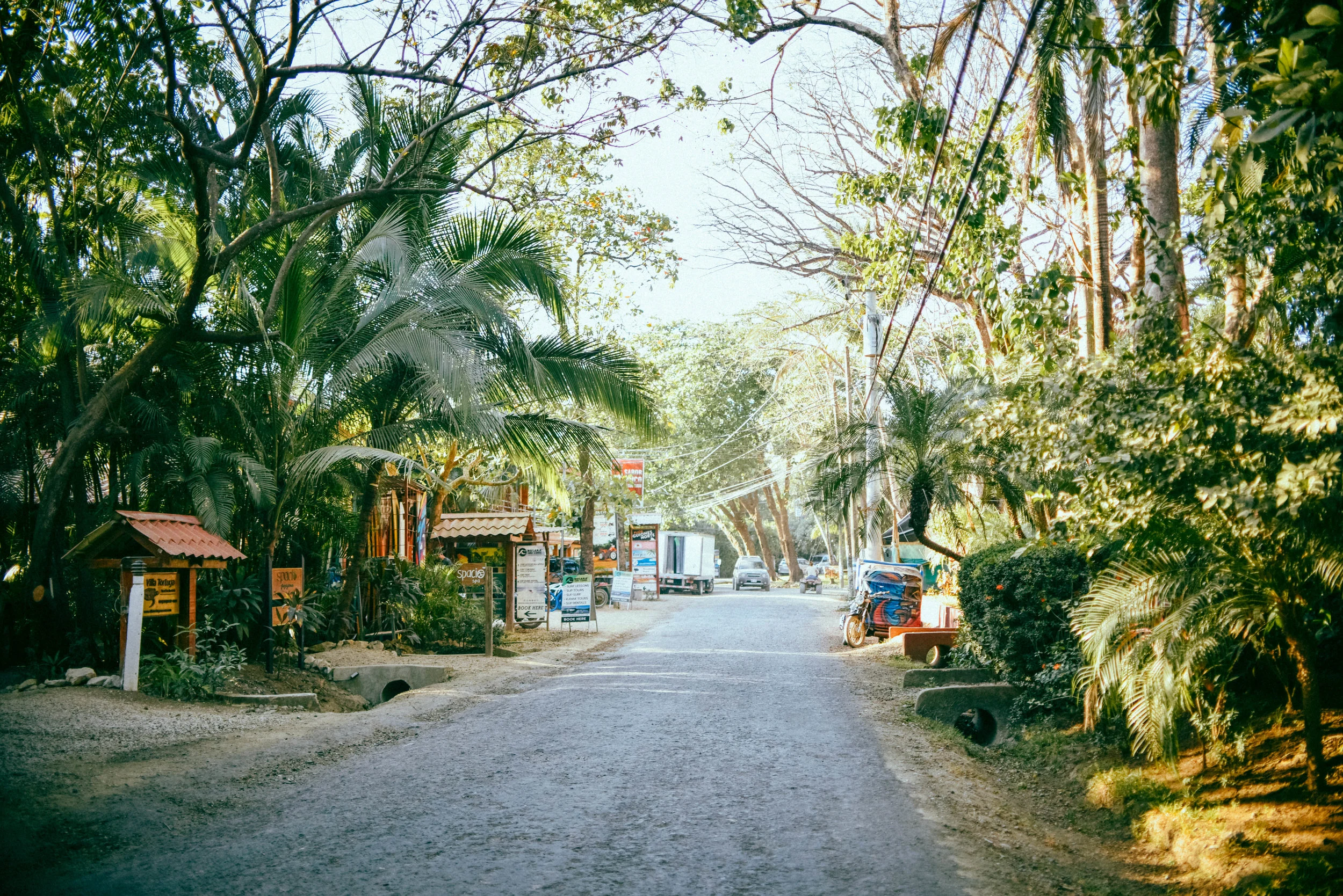 DSC_5547.jpg