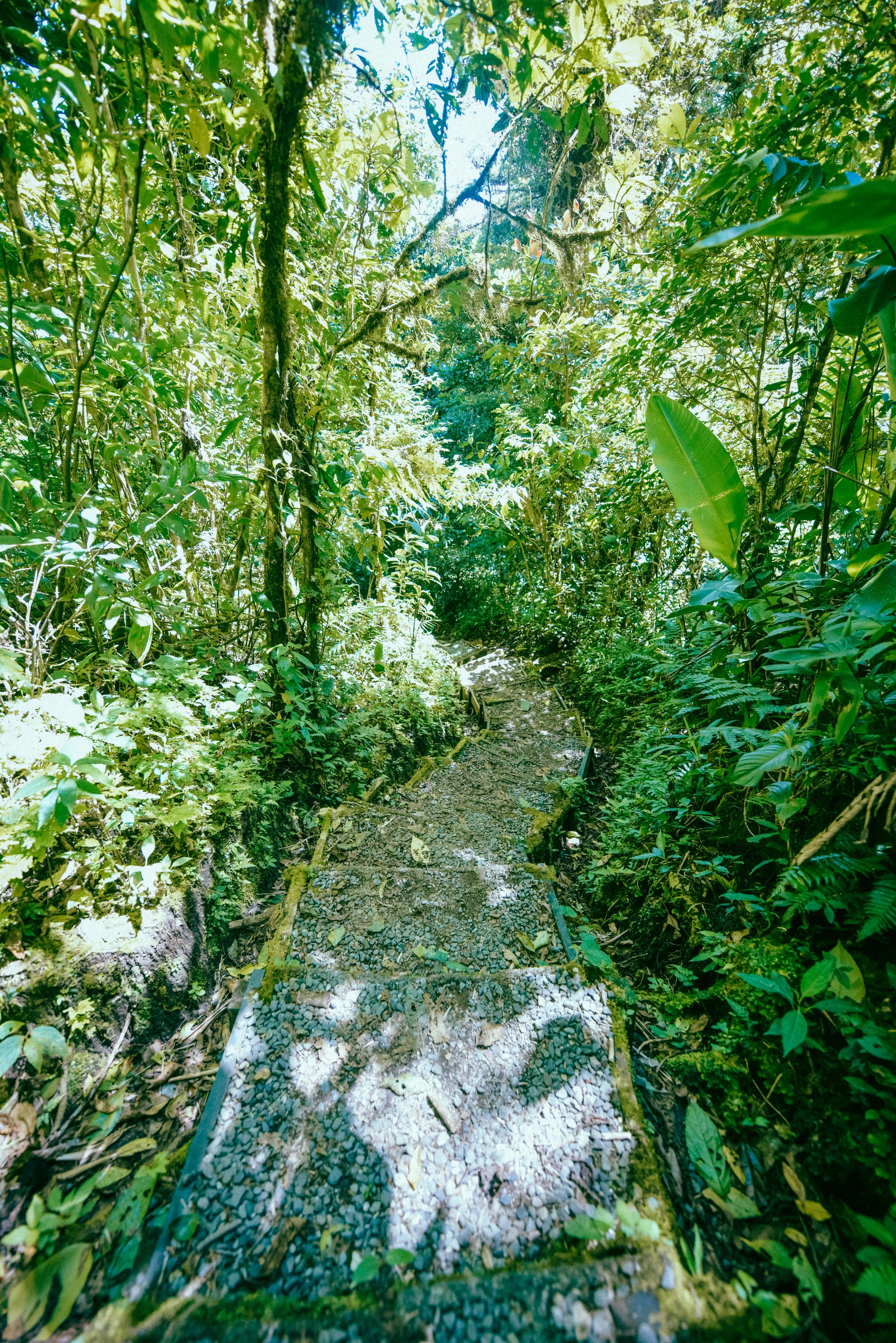 DSC_6392.jpg