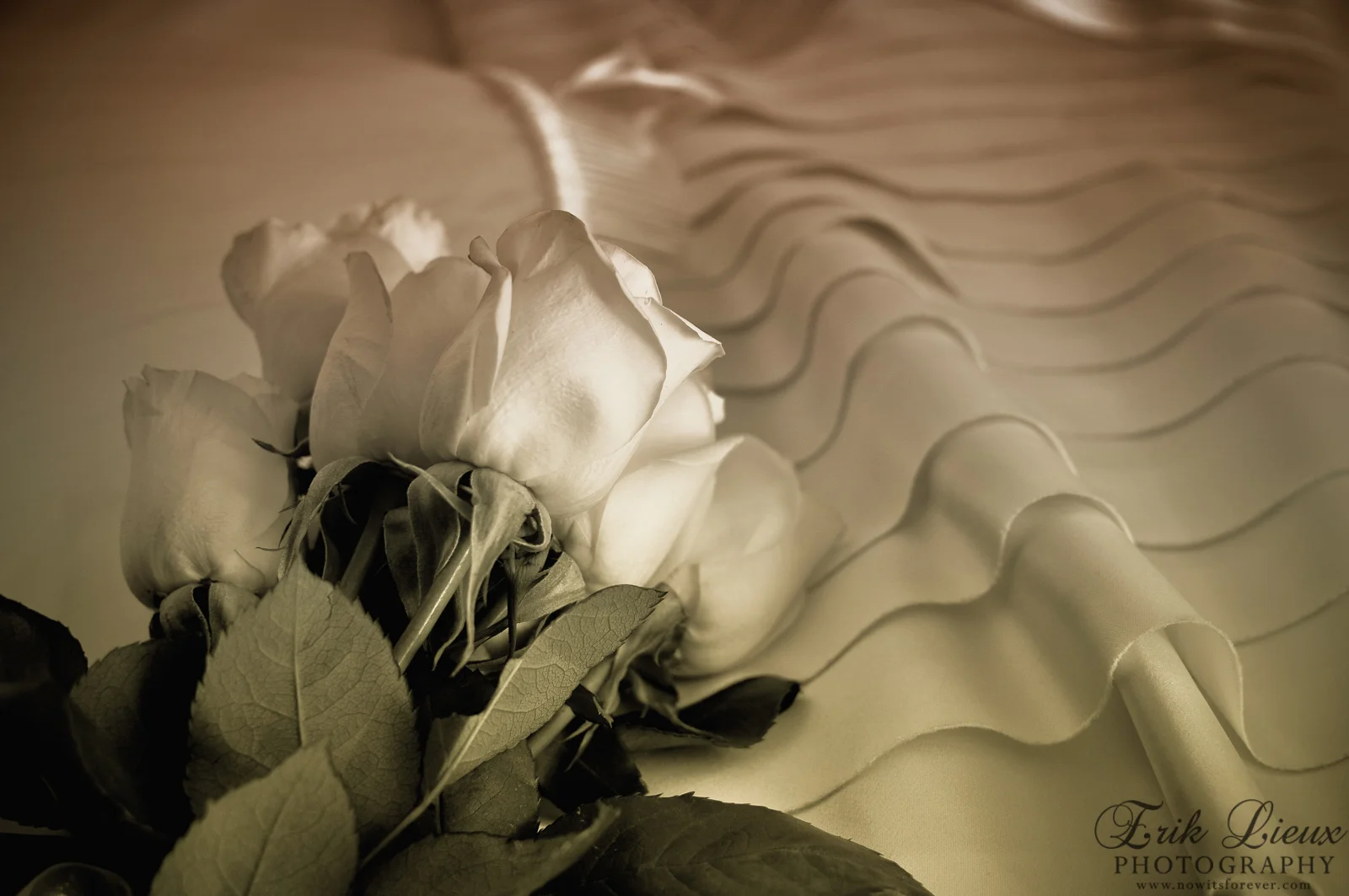 NowItsForever_Lieux_WeddingPortfolio-6.jpg