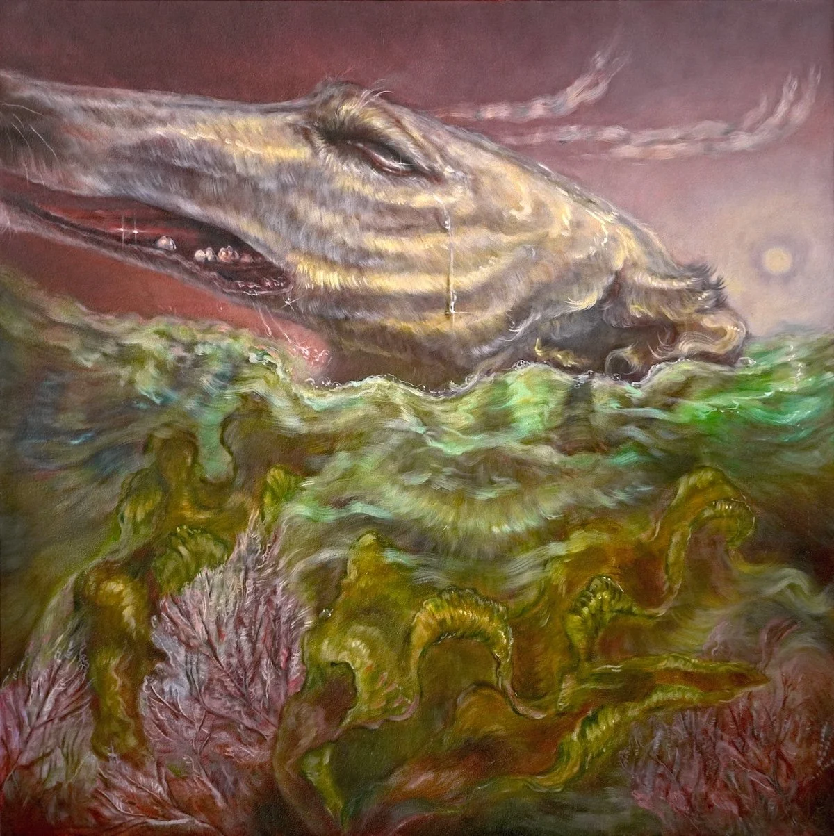 sea dog ocean dog seaweed