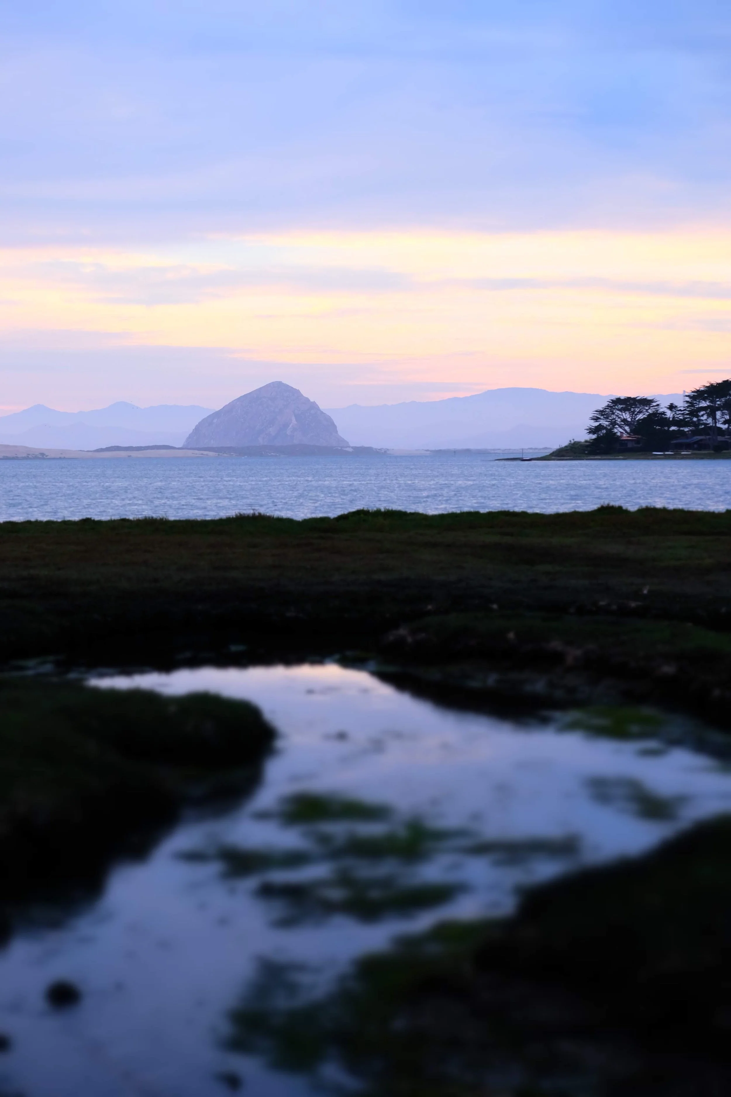 DSCF4659.jpg