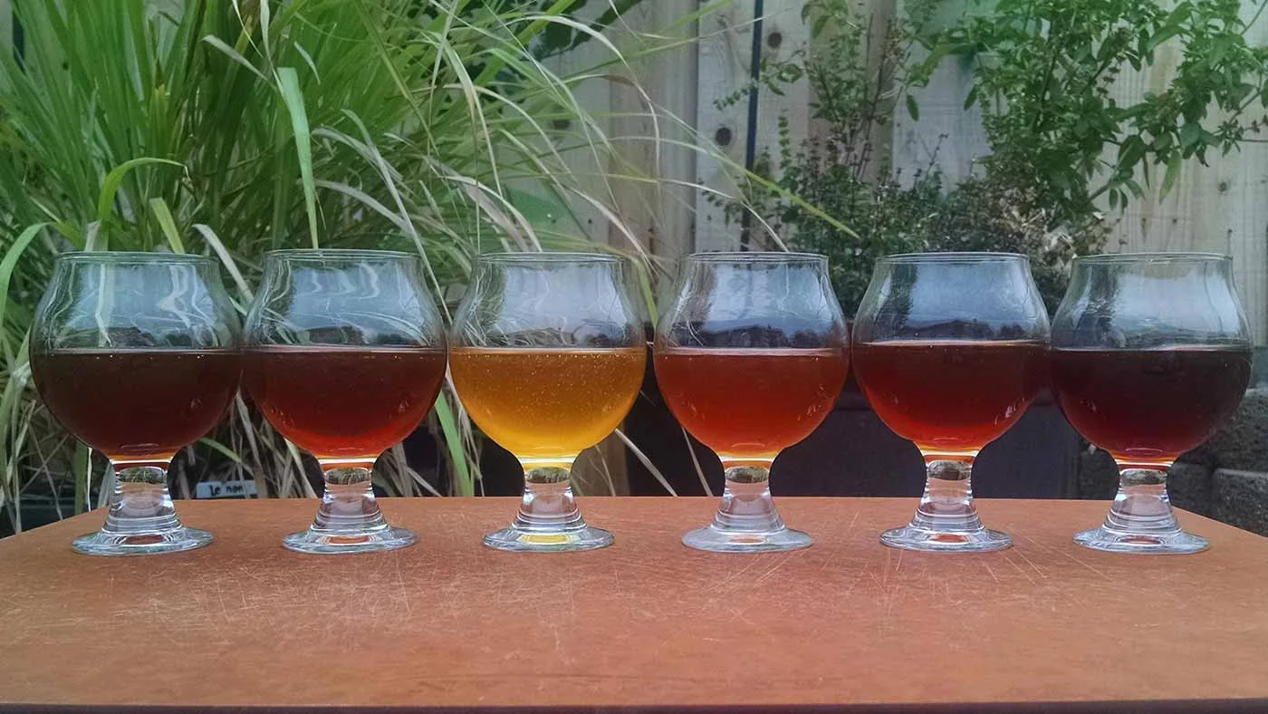 Raw, varietal honey can have vast differences in color and flavor depending on its source. From left to right, these are: Alfalfa 2015 (used in first batch of Foundation), Blueberry 2015, Colorado Clover 2015, Estate Valley Center 2015, Estate Valley Center 2014, and Estate Valley Center 2013.