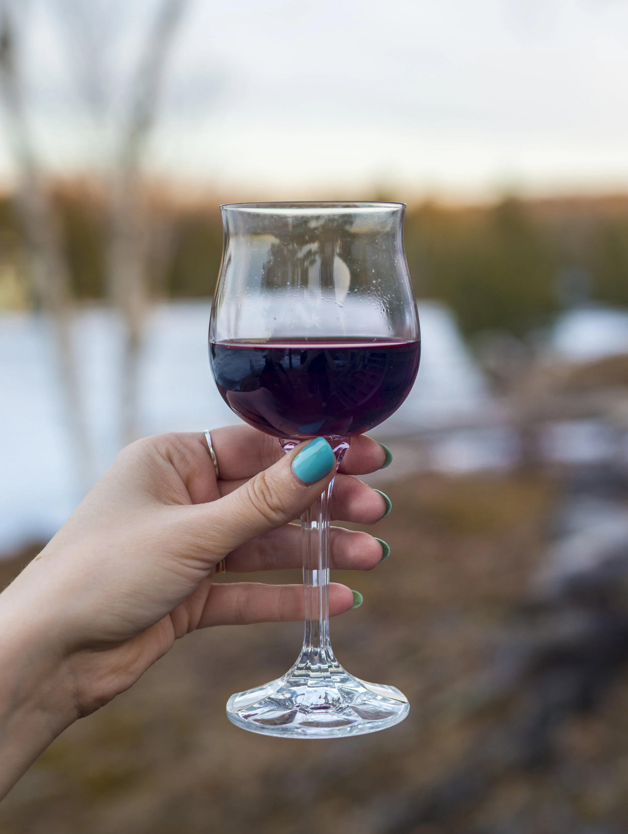 Wine Photos - Vigno 2015-3.jpg