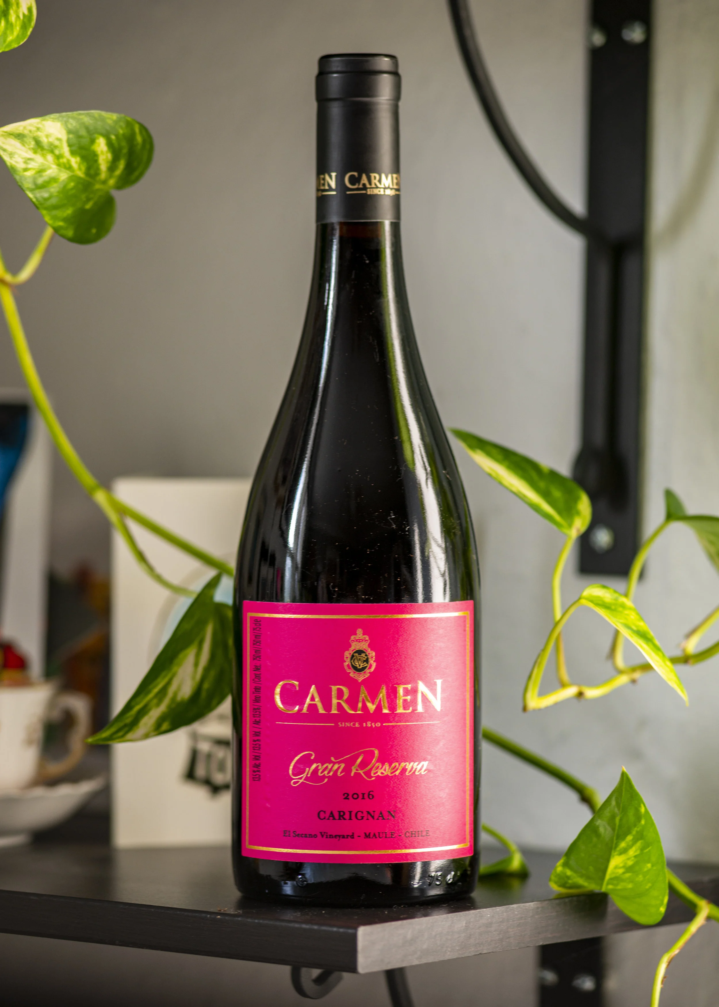 Carmen 2016 Carignan Finals-1.jpg