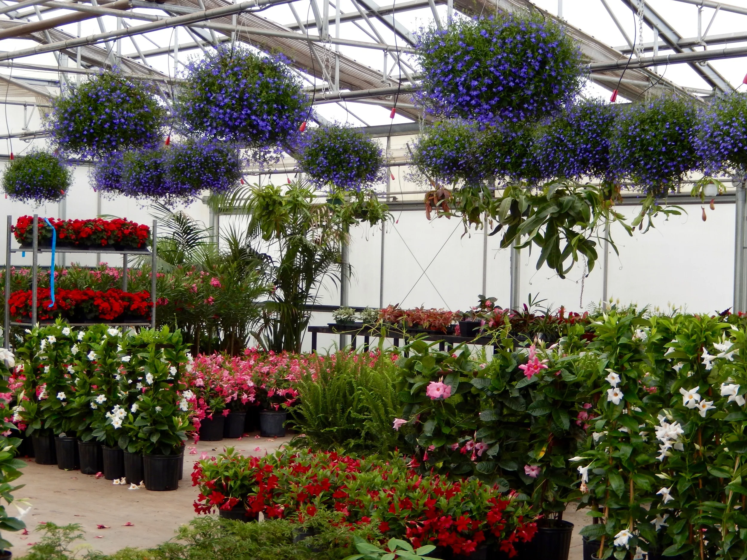 DSCN0618.jpg