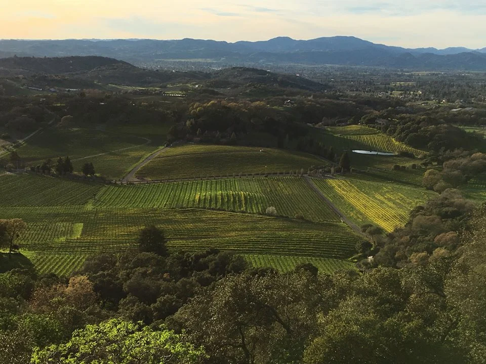 Discover the premier Napa Valley lifestyle and the locals who live it