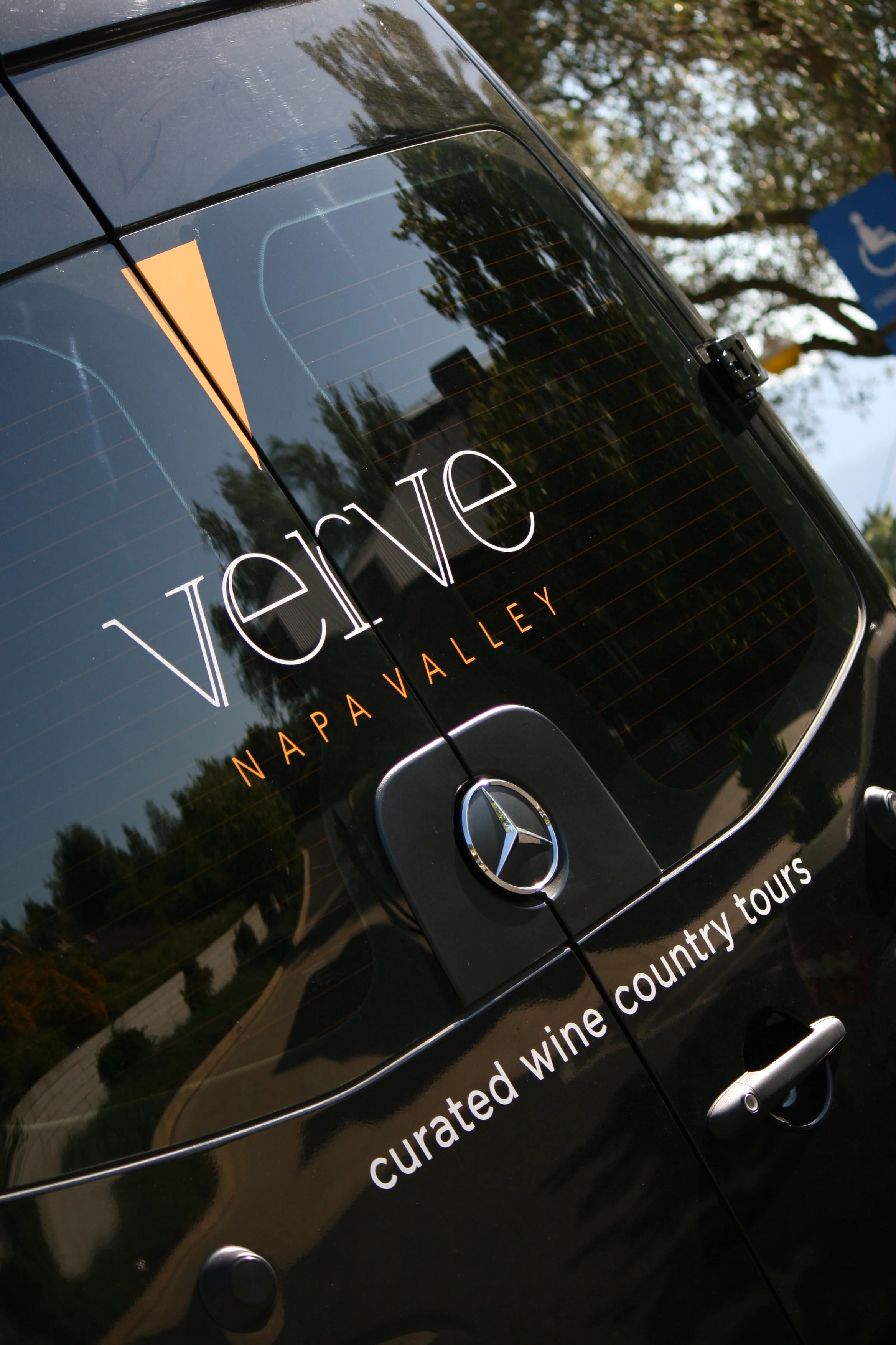 Verve - Sprinter.jpg