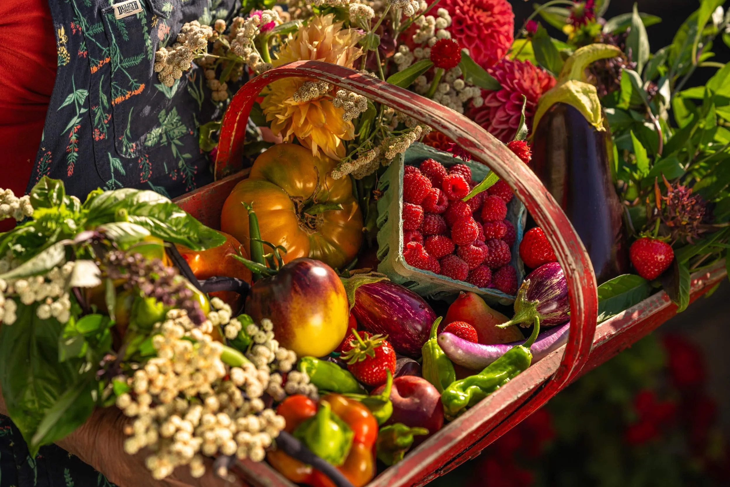 Take a Tour of Tomgirl Farms: A Hands-On Farm Experience in Wine Country