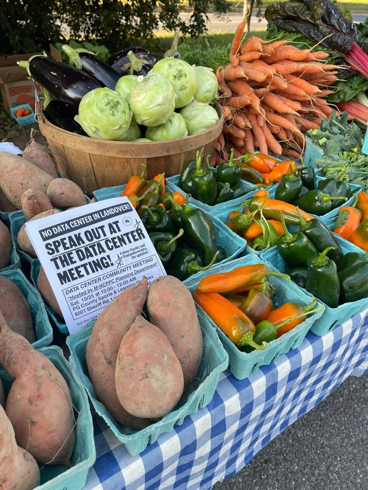 WhatsApp Image 2025-10-21 at 16.49.03 (3).jpeg