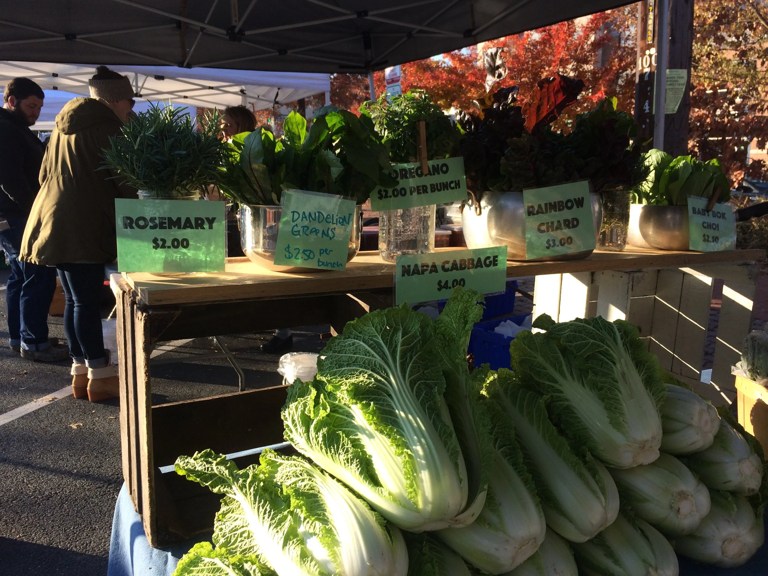 What I'm making for Thanksgiving from my Owl's Nest Farm CSA haul