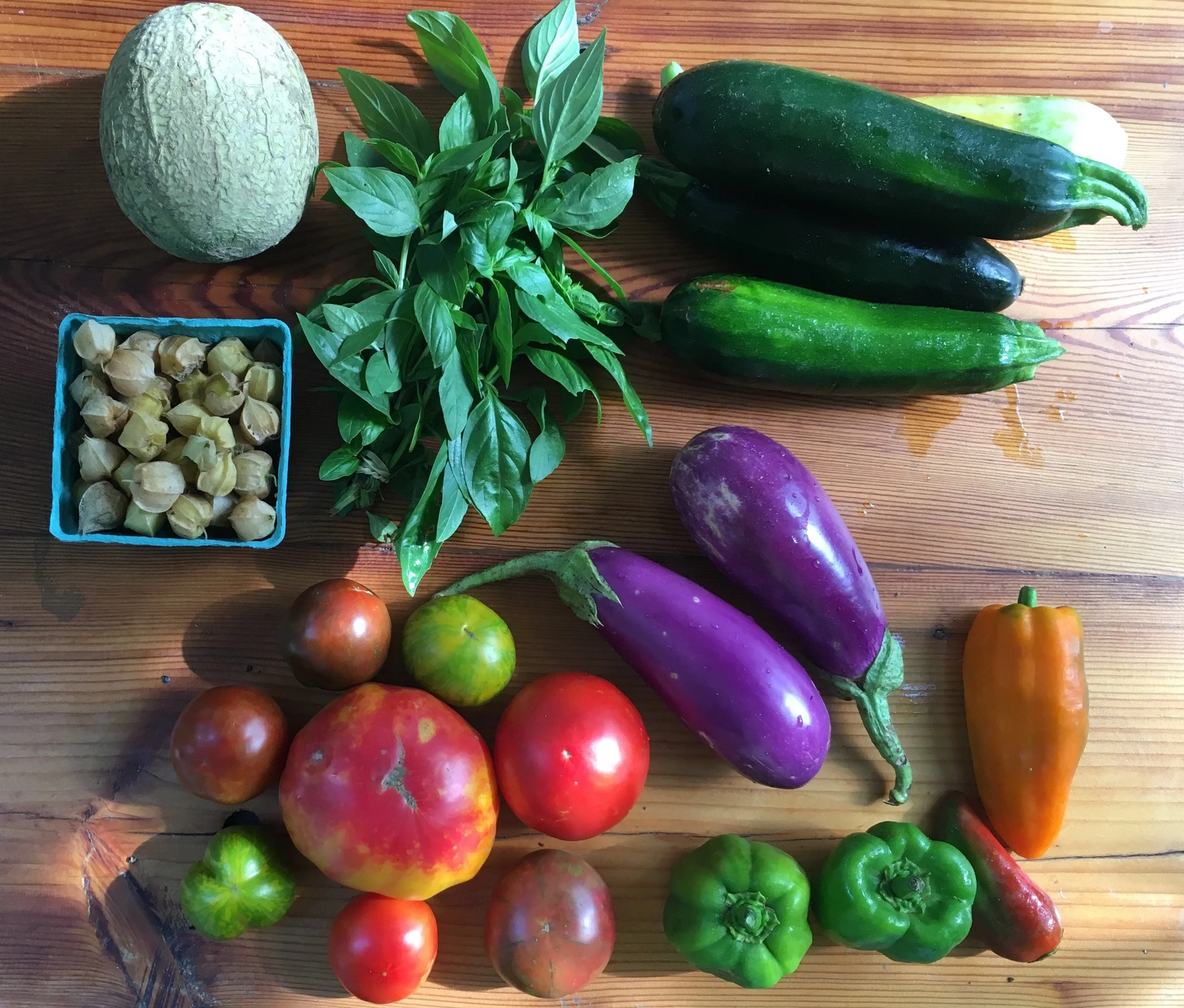 share photo tomatoes eggplant.JPG