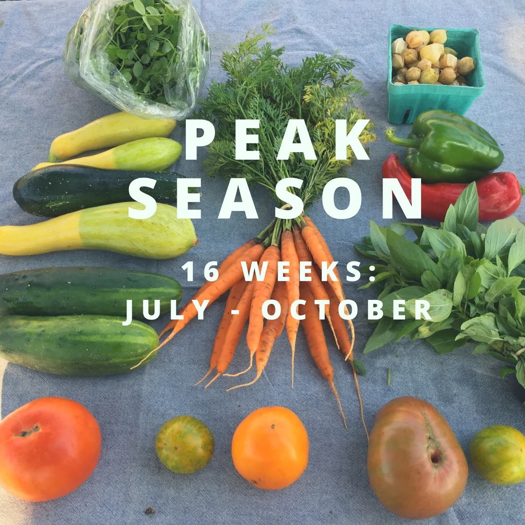 peak season image.jpg