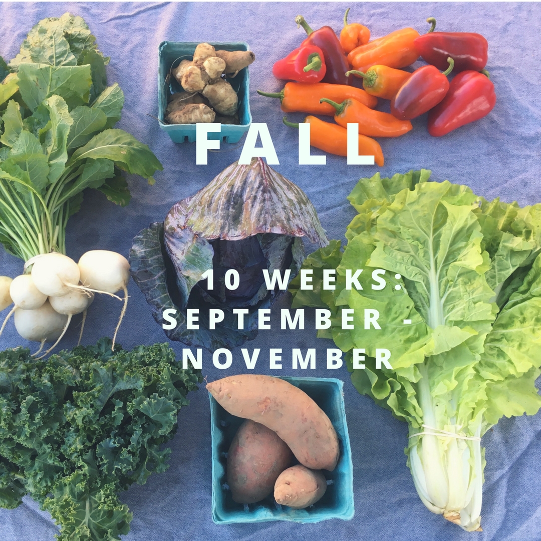 fall image.jpg