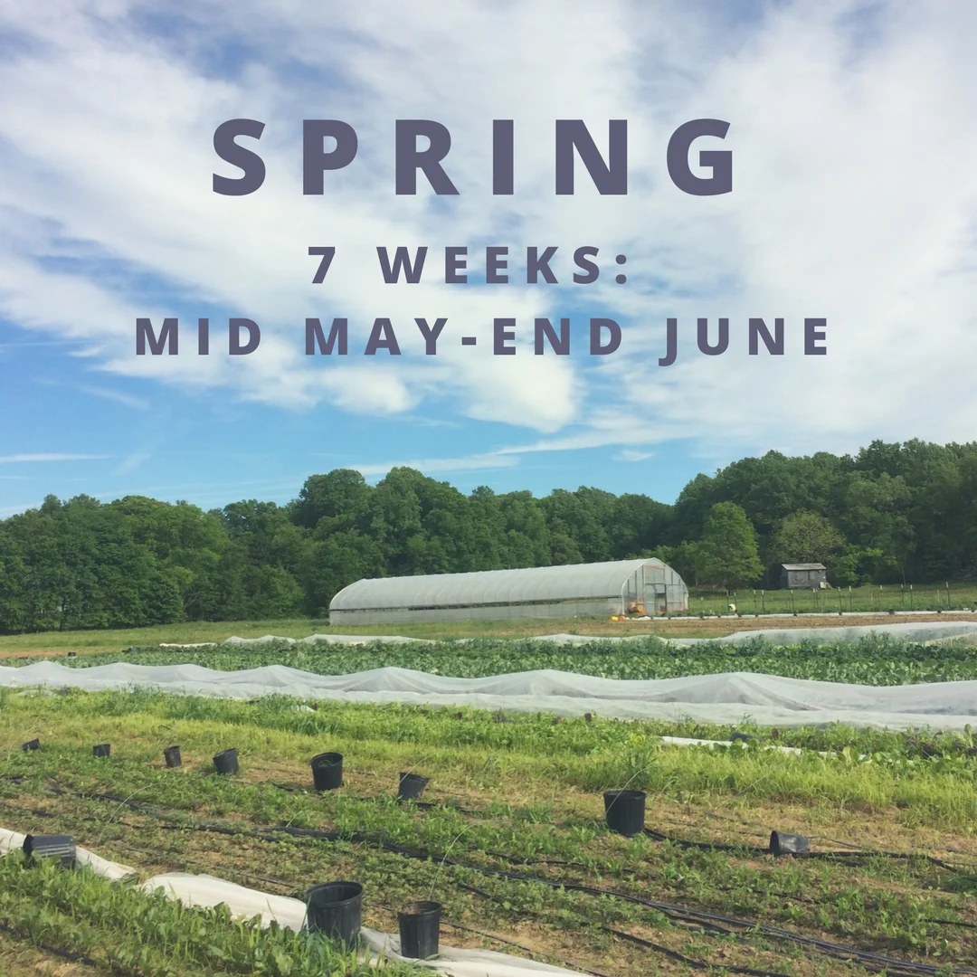 spring share image.jpg