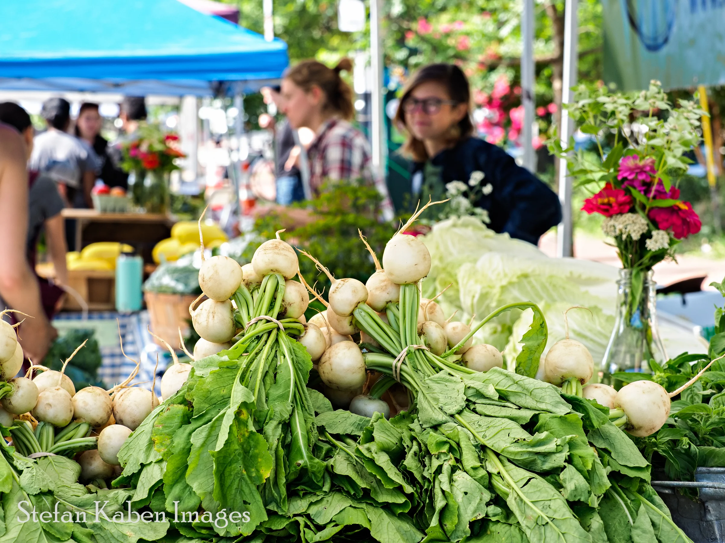 Petworth Farmers' Market 47 mid _7076247.jpg